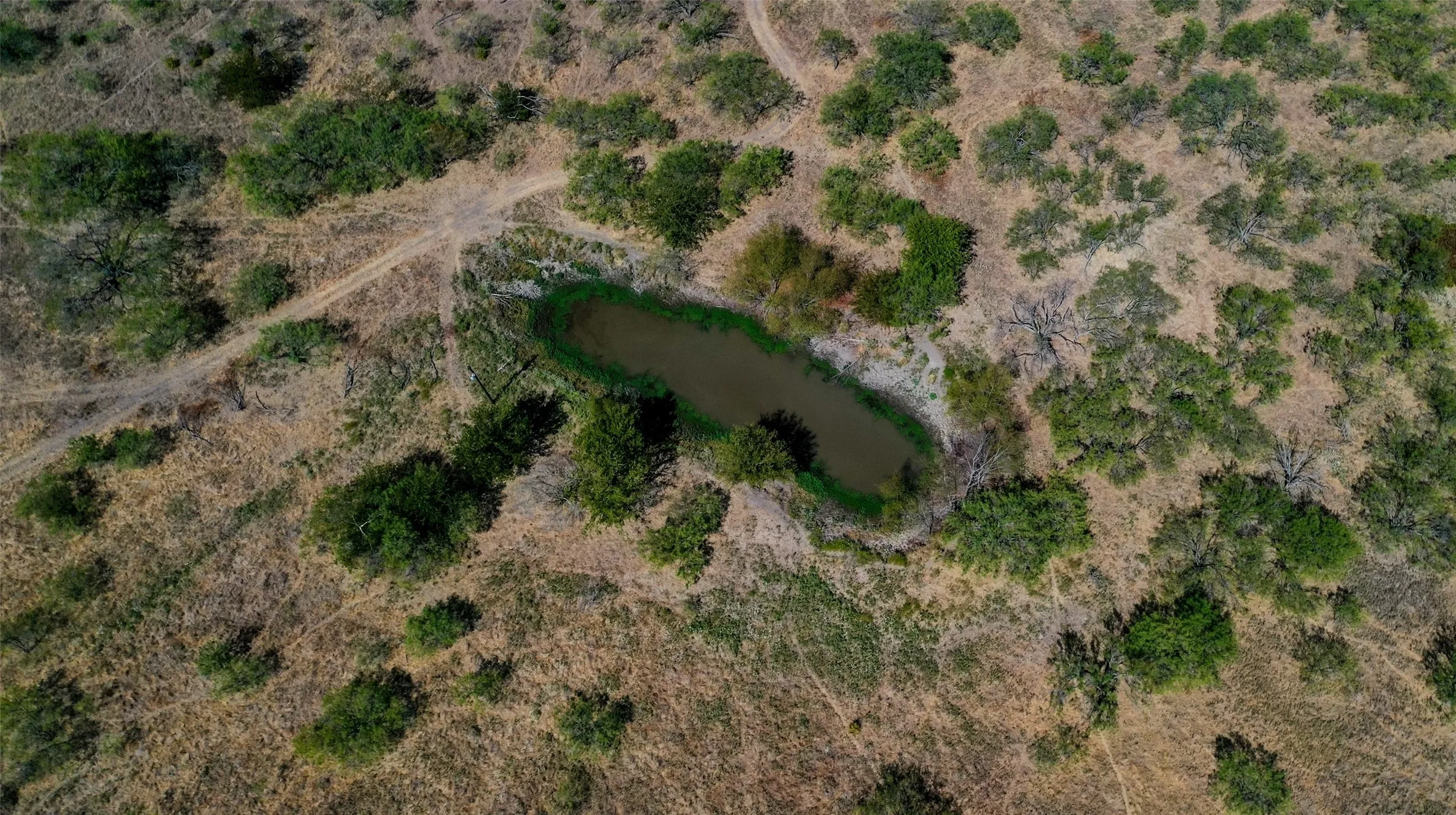 Unimproved Land For Sale in Kaufman County , TBD FM 148, Scurry, Texas 75158, 0, 0, Garage spaces, 0 Sqft, built in 0, mls#21394949, Real Estate Agent in Scurry, Homes For Sale in Kaufman county, Homes For Sale in Scurry, Realtor in Scurry Texas, Real Estate Brokerage Independent Realty Texas, Luminita Cordes Realtor