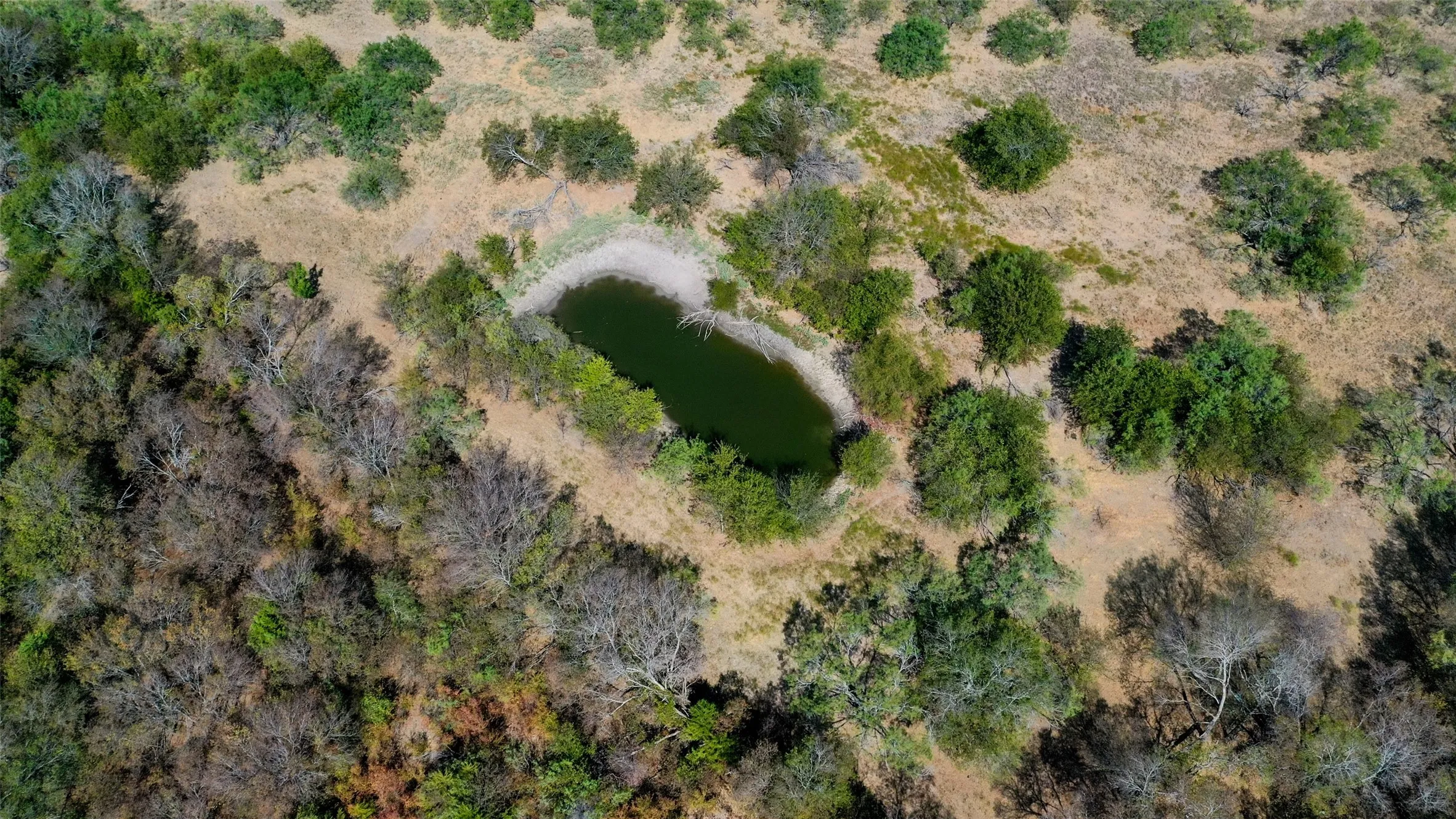 Unimproved Land For Sale in Kaufman County , TBD FM 148, Scurry, Texas 75158, 0, 0, Garage spaces, 0 Sqft, built in 0, mls#21394949, Real Estate Agent in Scurry, Homes For Sale in Kaufman county, Homes For Sale in Scurry, Realtor in Scurry Texas, Real Estate Brokerage Independent Realty Texas, Luminita Cordes Realtor