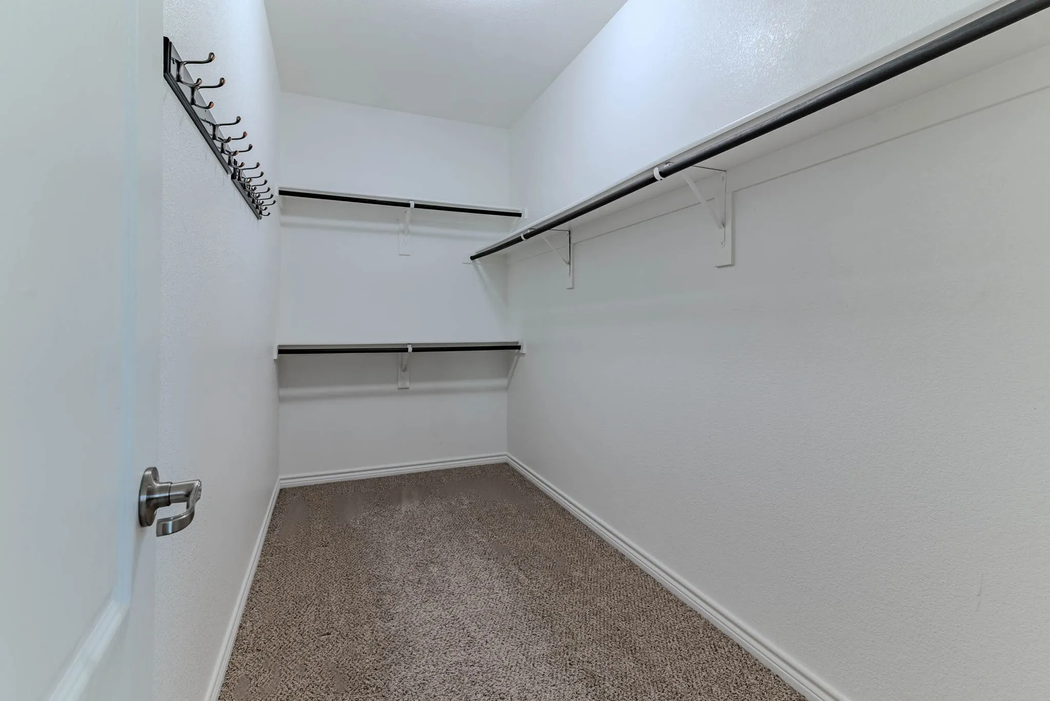 Spacious primary walk in closet with carpet