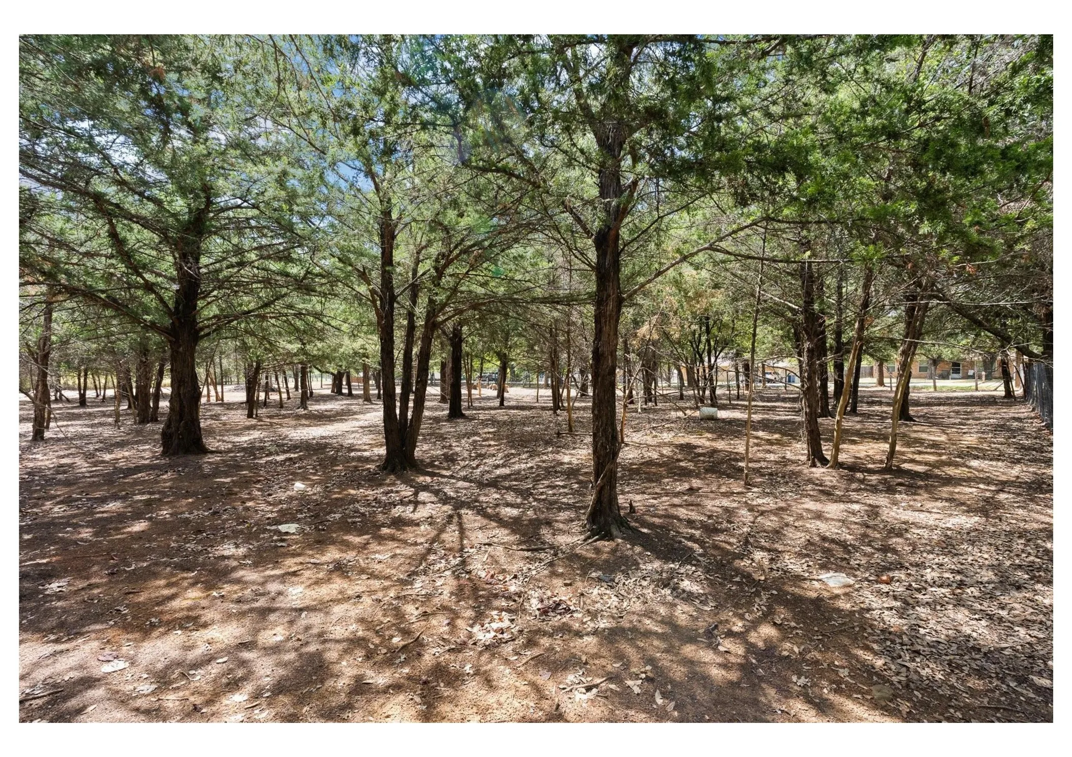 Unimproved Land For Sale in Johnson County , 809 Santa Fe Street, Keene, Texas 76059, 0, 0, Garage spaces, 0 Sqft, built in 2026, mls#21387242, Real Estate Agent in Keene, Homes For Sale in Johnson county, Homes For Sale in Keene, Realtor in Keene Texas, Real Estate Brokerage Independent Realty Texas, Luminita Cordes Realtor