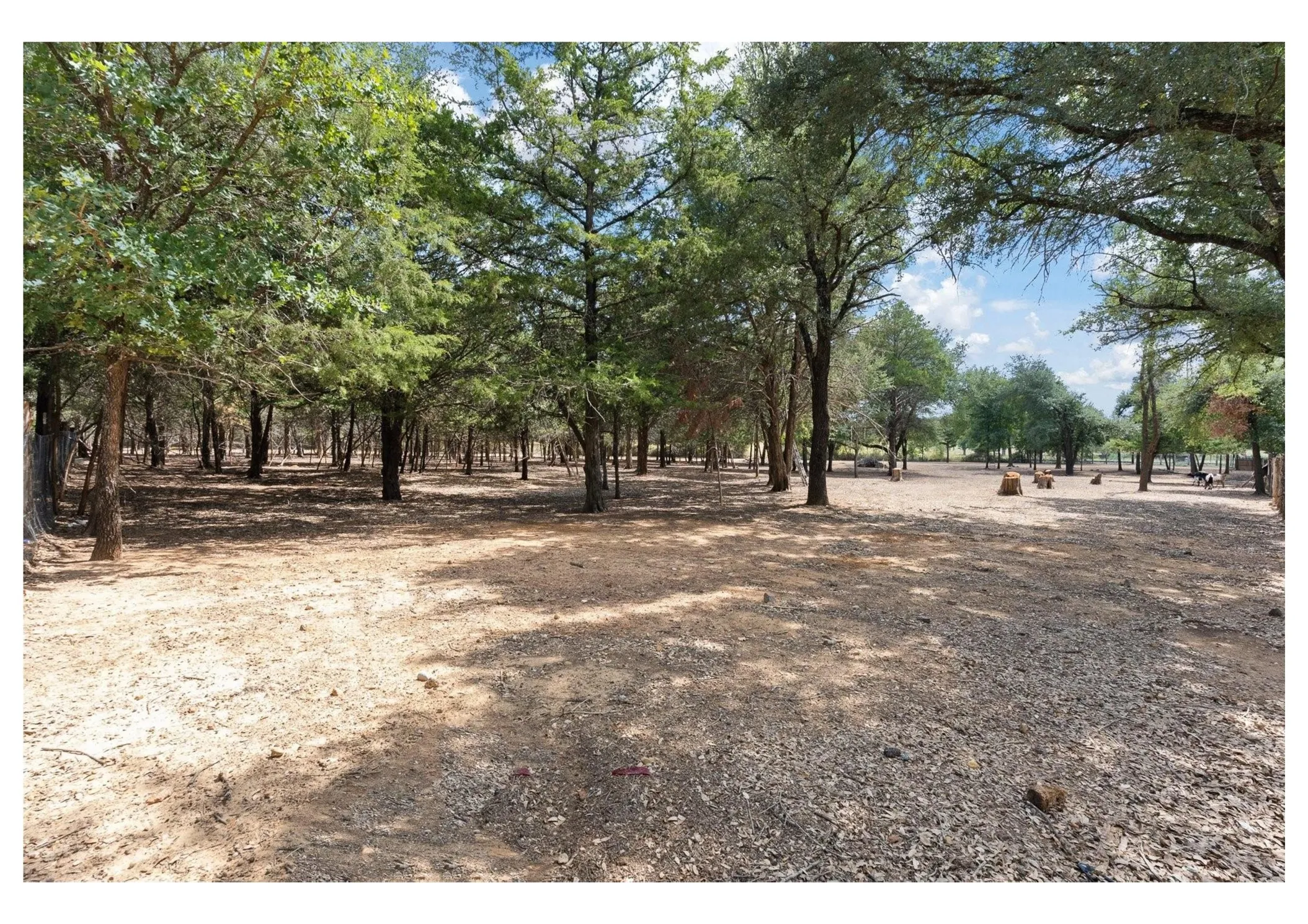 Unimproved Land For Sale in Johnson County , 809 Santa Fe Street, Keene, Texas 76059, 0, 0, Garage spaces, 0 Sqft, built in 2026, mls#21387242, Real Estate Agent in Keene, Homes For Sale in Johnson county, Homes For Sale in Keene, Realtor in Keene Texas, Real Estate Brokerage Independent Realty Texas, Luminita Cordes Realtor