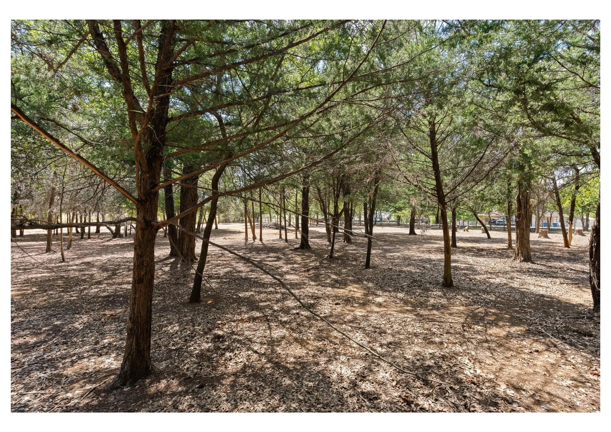 Unimproved Land For Sale in Johnson County , 809 Santa Fe Street, Keene, Texas 76059, 0, 0, Garage spaces, 0 Sqft, built in 2026, mls#21387242, Real Estate Agent in Keene, Homes For Sale in Johnson county, Homes For Sale in Keene, Realtor in Keene Texas, Real Estate Brokerage Independent Realty Texas, Luminita Cordes Realtor