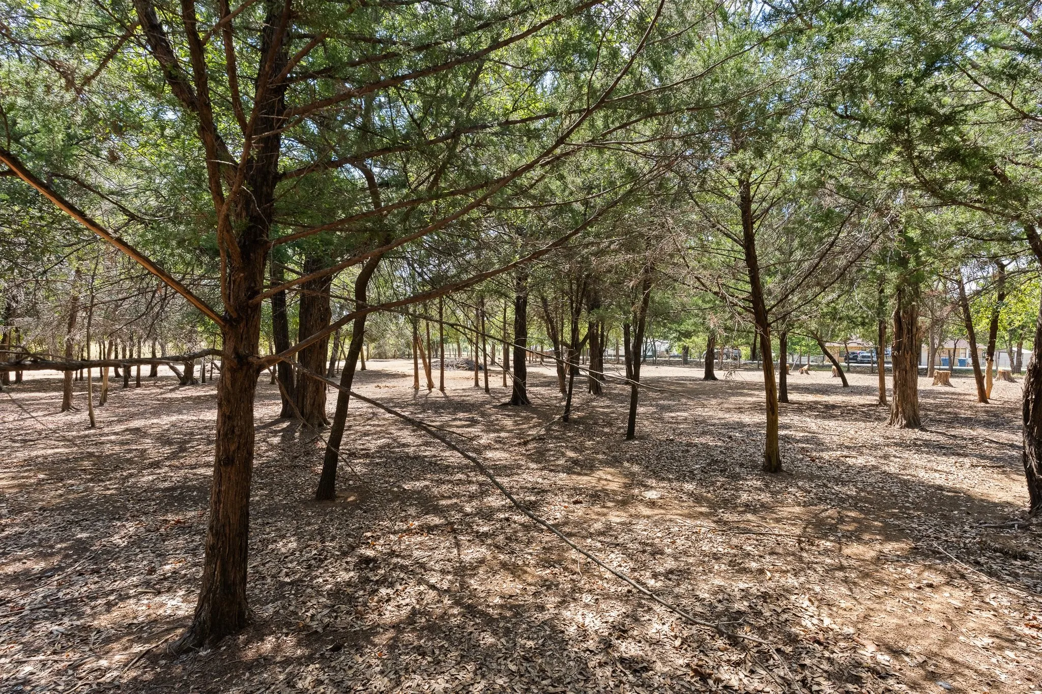 Unimproved Land For Sale in Johnson County , 807 Santa Fe Street, Keene, Texas 76059, 0, 0, Garage spaces, 0 Sqft, built in 2026, mls#21387250, Real Estate Agent in Keene, Homes For Sale in Johnson county, Homes For Sale in Keene, Realtor in Keene Texas, Real Estate Brokerage Independent Realty Texas, Luminita Cordes Realtor