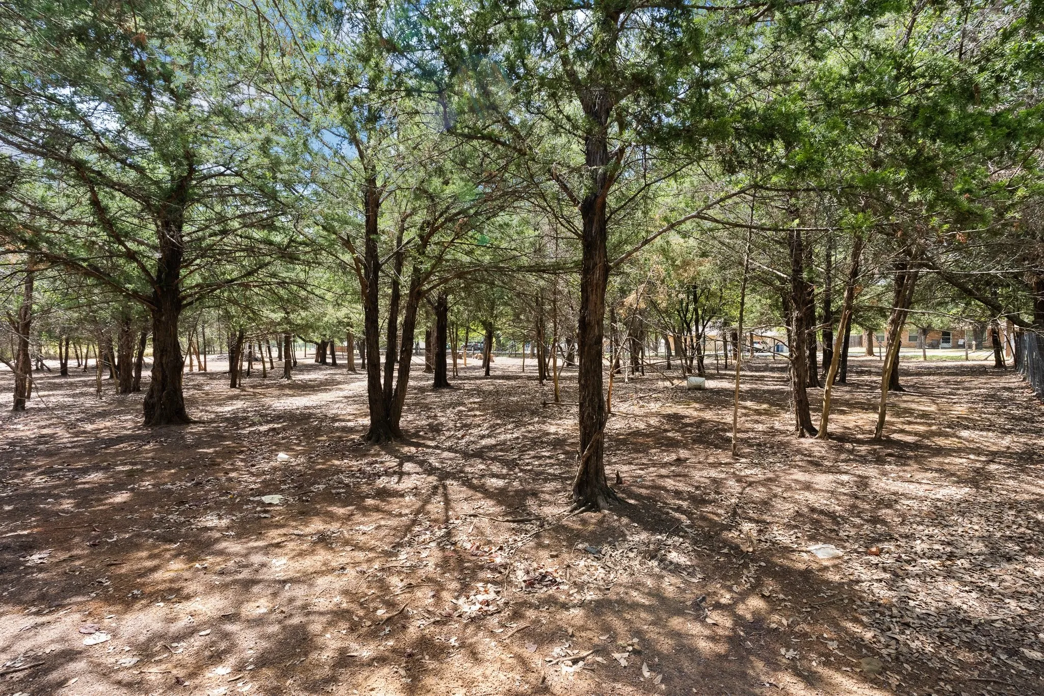 Unimproved Land For Sale in Johnson County , 807 Santa Fe Street, Keene, Texas 76059, 0, 0, Garage spaces, 0 Sqft, built in 2026, mls#21387250, Real Estate Agent in Keene, Homes For Sale in Johnson county, Homes For Sale in Keene, Realtor in Keene Texas, Real Estate Brokerage Independent Realty Texas, Luminita Cordes Realtor
