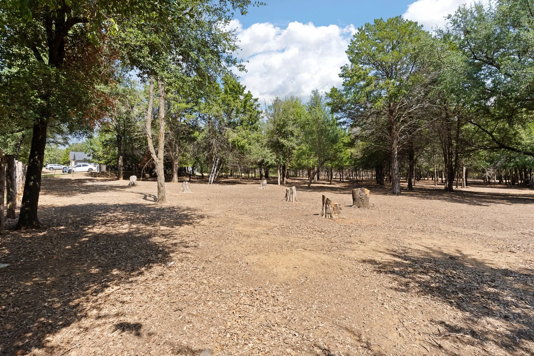Unimproved Land For Sale in Johnson County , 807 Santa Fe Street, Keene, Texas 76059, 0, 0, Garage spaces, 0 Sqft, built in 2026, mls#21387250, Real Estate Agent in Keene, Homes For Sale in Johnson county, Homes For Sale in Keene, Realtor in Keene Texas, Real Estate Brokerage Independent Realty Texas, Luminita Cordes Realtor