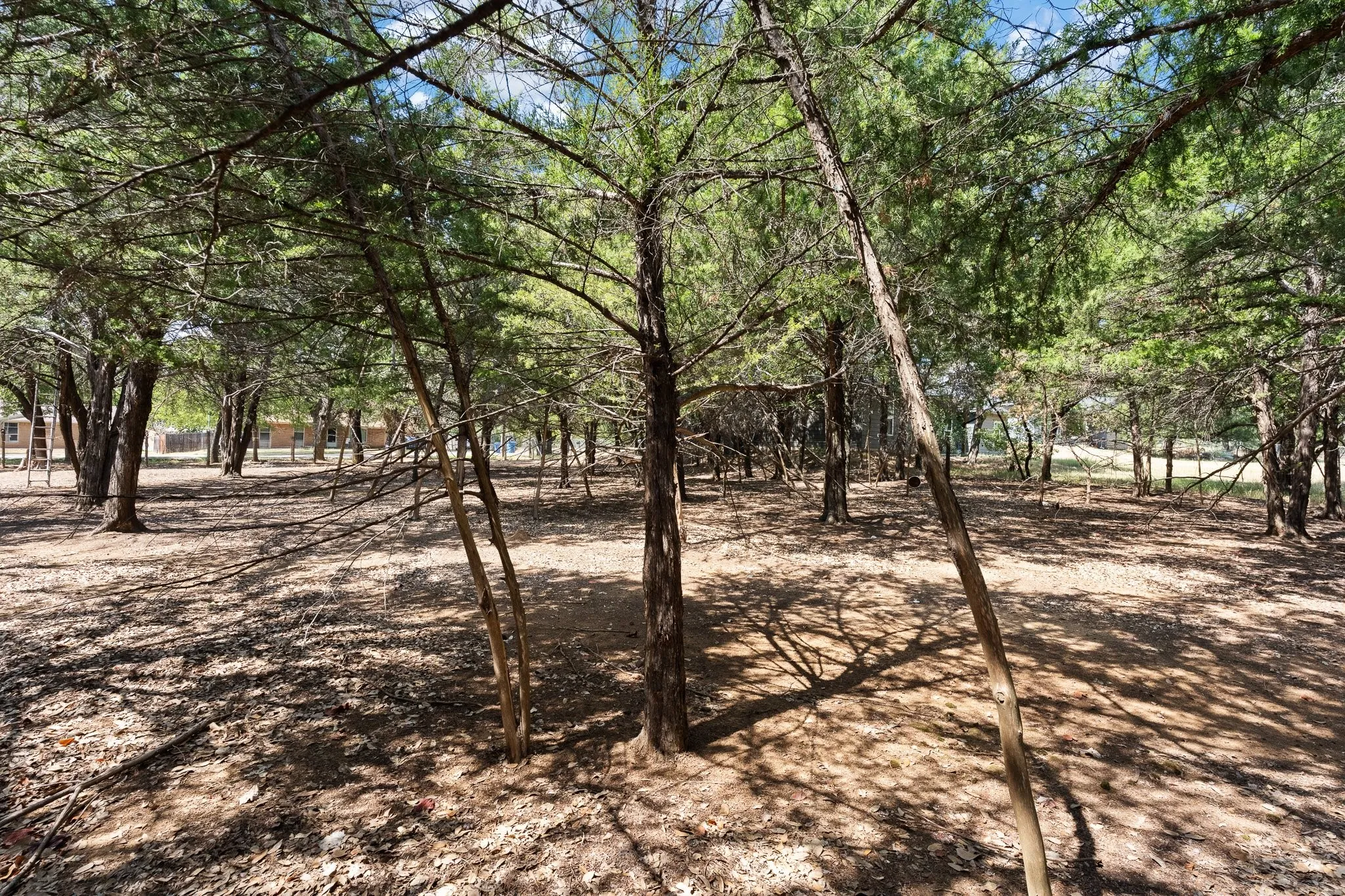 Unimproved Land For Sale in Johnson County , 807 Santa Fe Street, Keene, Texas 76059, 0, 0, Garage spaces, 0 Sqft, built in 2026, mls#21387250, Real Estate Agent in Keene, Homes For Sale in Johnson county, Homes For Sale in Keene, Realtor in Keene Texas, Real Estate Brokerage Independent Realty Texas, Luminita Cordes Realtor