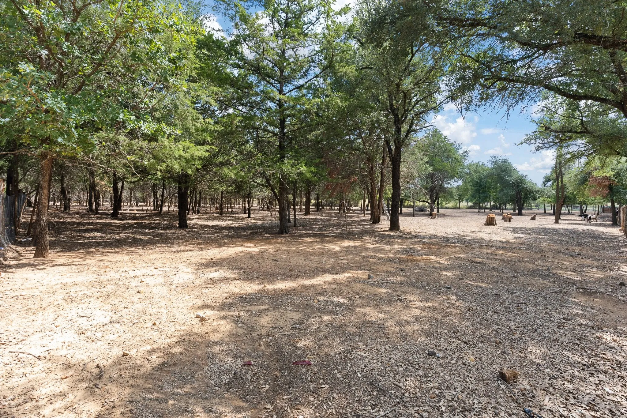 Unimproved Land For Sale in Johnson County , 807 Santa Fe Street, Keene, Texas 76059, 0, 0, Garage spaces, 0 Sqft, built in 2026, mls#21387250, Real Estate Agent in Keene, Homes For Sale in Johnson county, Homes For Sale in Keene, Realtor in Keene Texas, Real Estate Brokerage Independent Realty Texas, Luminita Cordes Realtor