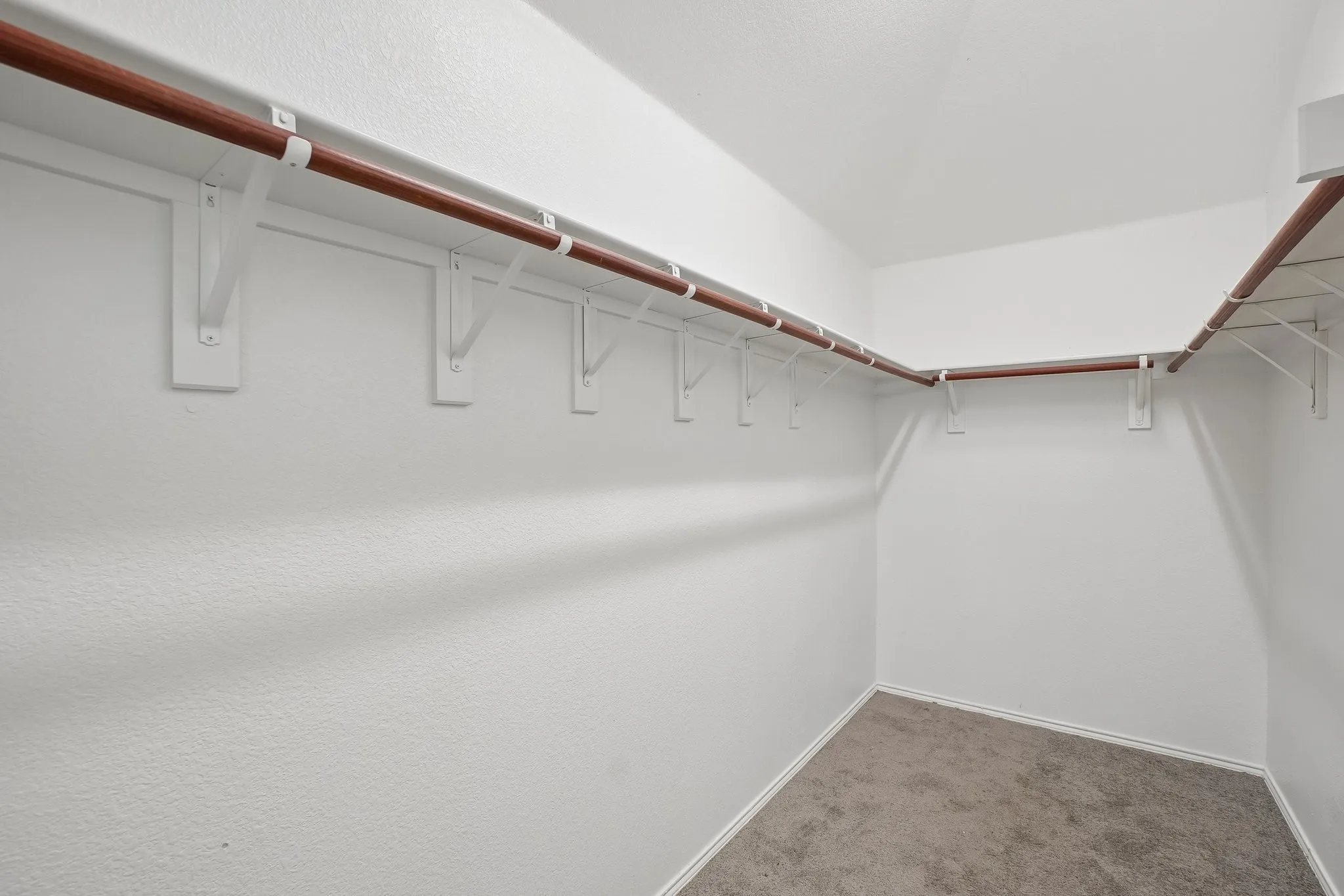 Walk-in closet with carpet flooring, white walls, and built-in wood-finish shelving