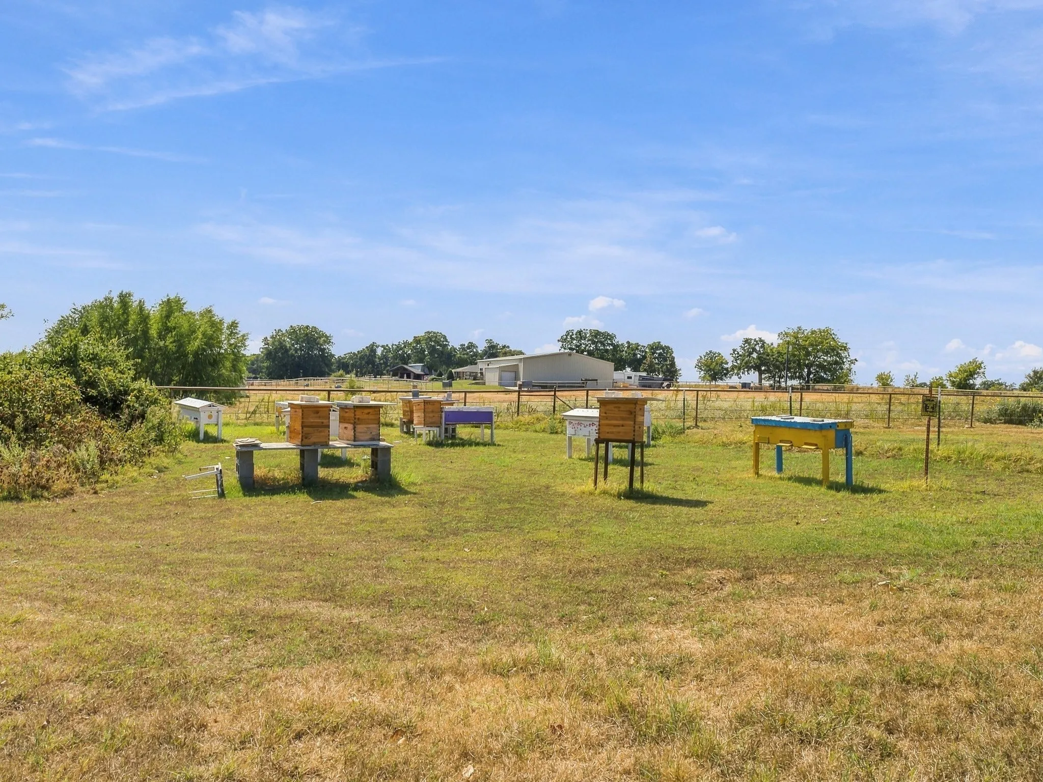 Bee sanctuary on property to maintain active ag exemption.