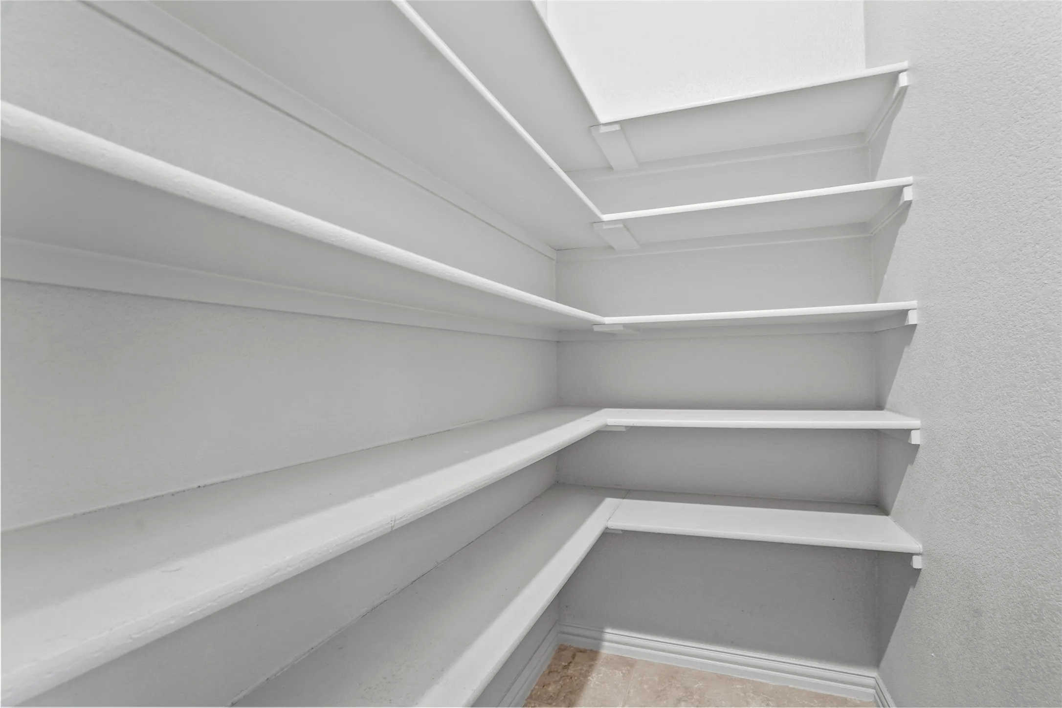 Huge Walk in pantry