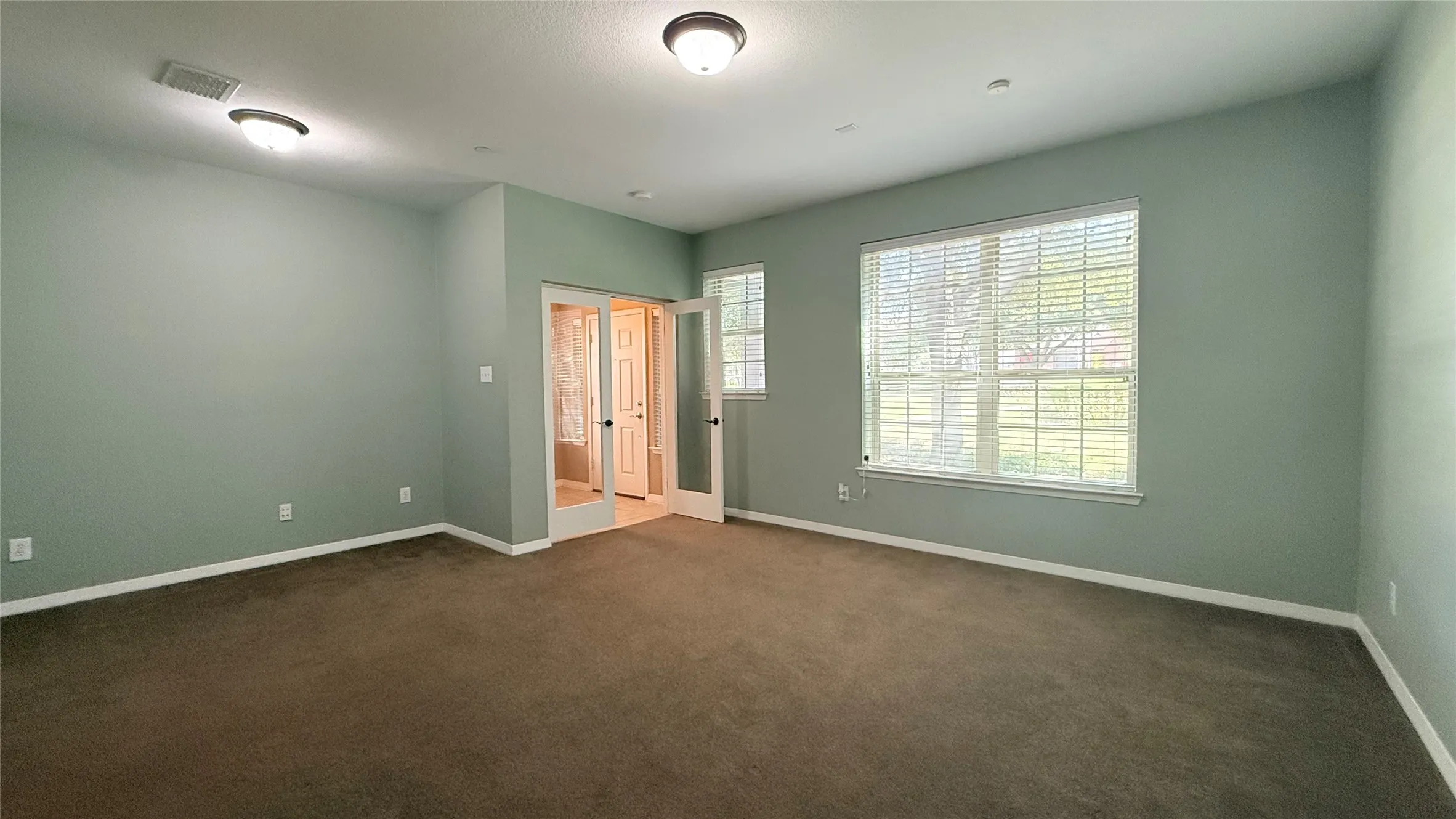 Spacious room with plush carpet flooring, multiple windows, and a ceiling-mounted light fixture
