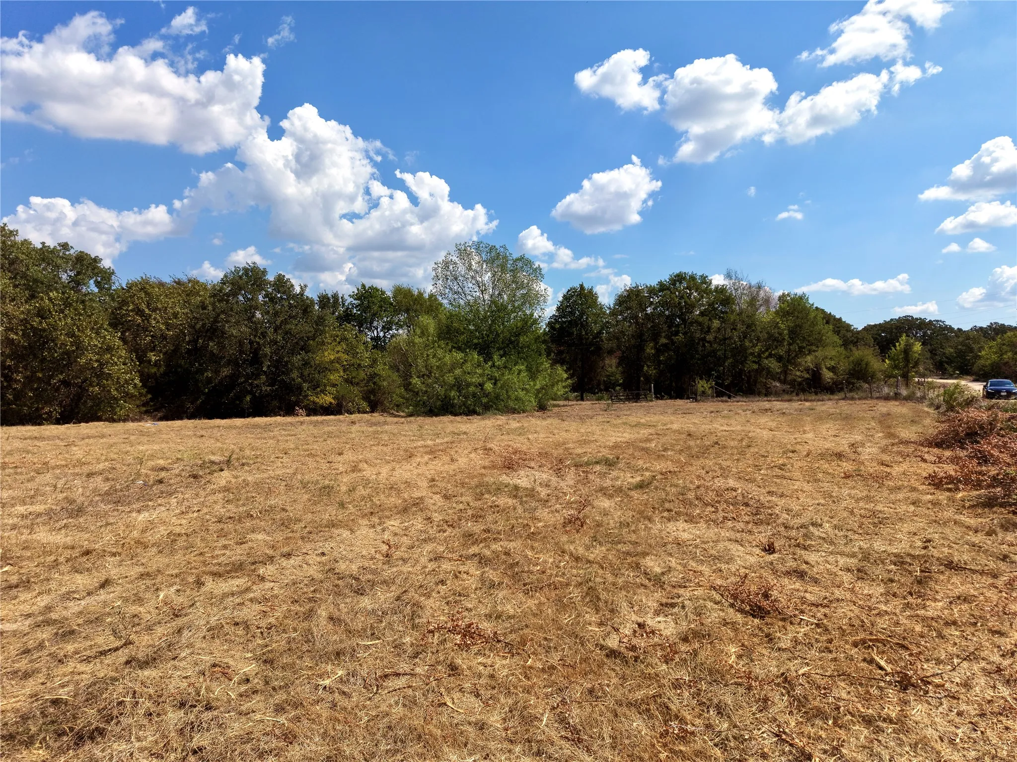 Unimproved Land For Sale in Henderson County , 18658 Allen Ranch Road, Eustace, Texas 75124, 0, 0, Garage spaces, 0 Sqft, built in 0, mls#21394951, Real Estate Agent in Eustace, Homes For Sale in Henderson county, Homes For Sale in Eustace, Realtor in Eustace Texas, Real Estate Brokerage Independent Realty Texas, Luminita Cordes Realtor