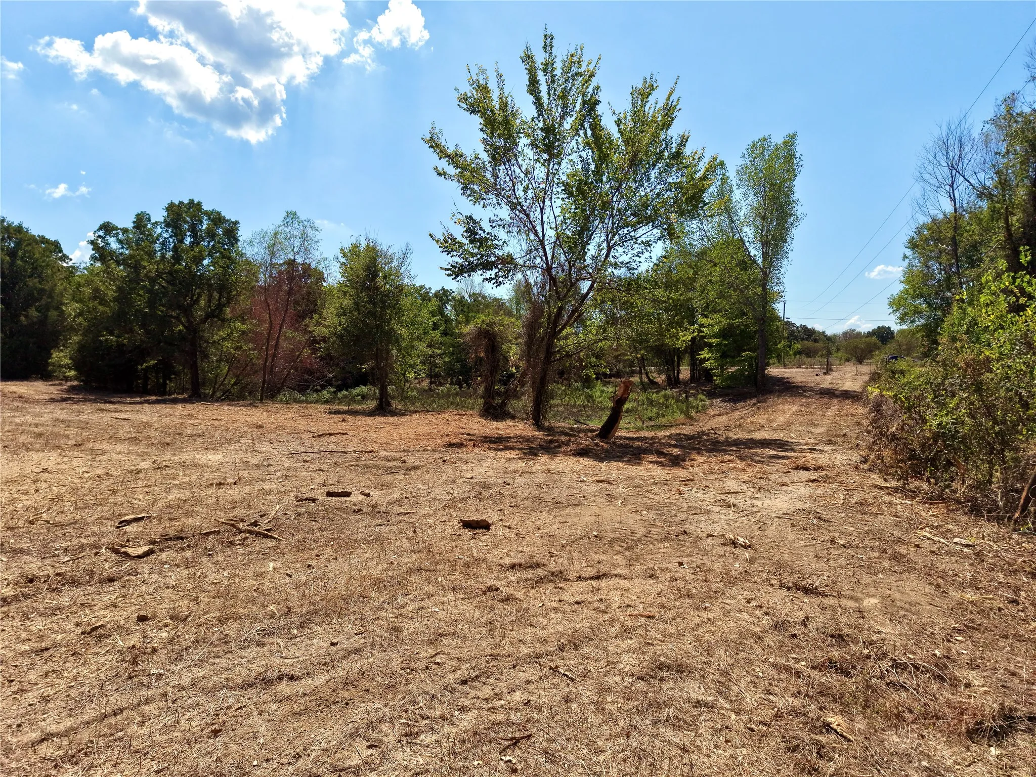 Unimproved Land For Sale in Henderson County , 18658 Allen Ranch Road, Eustace, Texas 75124, 0, 0, Garage spaces, 0 Sqft, built in 0, mls#21394951, Real Estate Agent in Eustace, Homes For Sale in Henderson county, Homes For Sale in Eustace, Realtor in Eustace Texas, Real Estate Brokerage Independent Realty Texas, Luminita Cordes Realtor