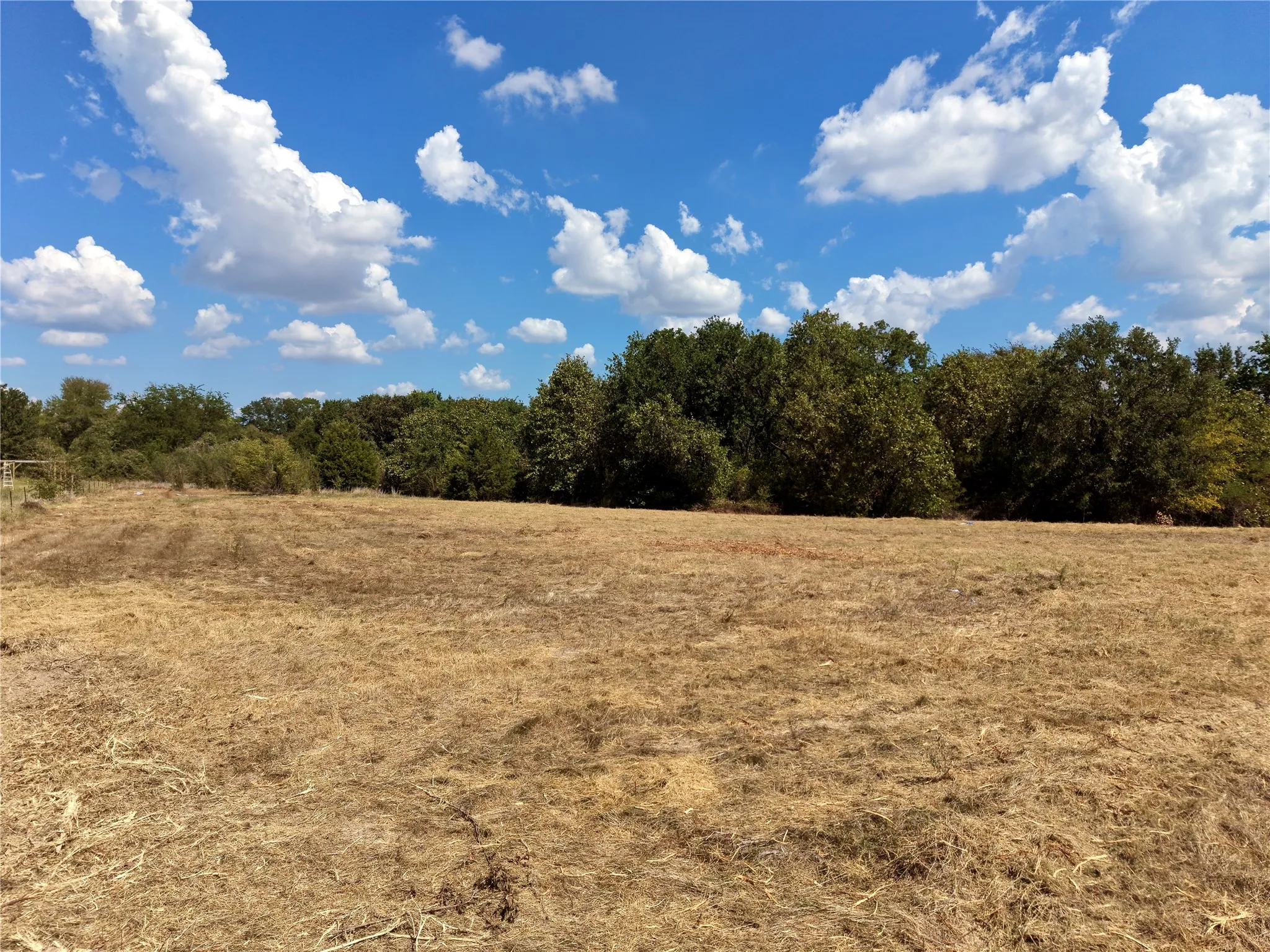 Unimproved Land For Sale in Henderson County , 18658 Allen Ranch Road, Eustace, Texas 75124, 0, 0, Garage spaces, 0 Sqft, built in 0, mls#21394951, Real Estate Agent in Eustace, Homes For Sale in Henderson county, Homes For Sale in Eustace, Realtor in Eustace Texas, Real Estate Brokerage Independent Realty Texas, Luminita Cordes Realtor