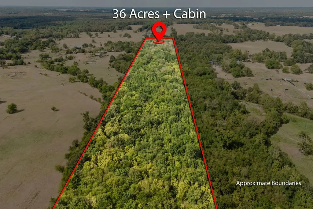 Unimproved Land For Sale in Franklin (TX) County , 949 SW County Road 3250, Winnsboro, Texas 75494, 0, 0, Garage spaces, 0 Sqft, built in 0, mls#21395277, Real Estate Agent in Winnsboro, Homes For Sale in Franklin (TX) county, Homes For Sale in Winnsboro, Realtor in Winnsboro Texas, Real Estate Brokerage Independent Realty Texas, Luminita Cordes Realtor