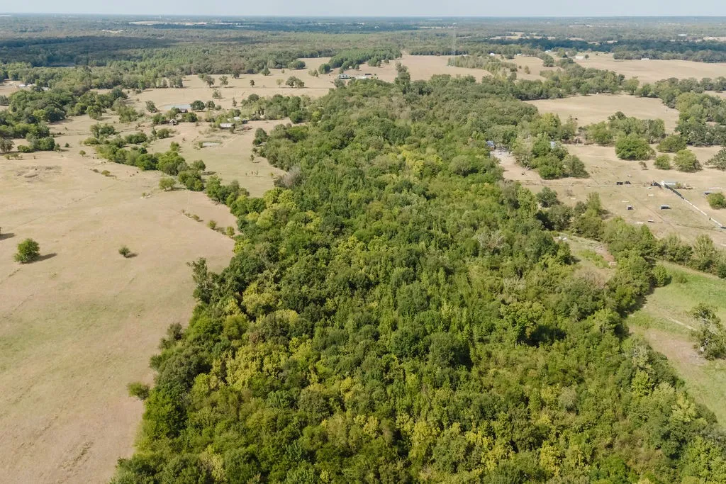 Unimproved Land For Sale in Franklin (TX) County , 949 SW County Road 3250, Winnsboro, Texas 75494, 0, 0, Garage spaces, 0 Sqft, built in 0, mls#21395277, Real Estate Agent in Winnsboro, Homes For Sale in Franklin (TX) county, Homes For Sale in Winnsboro, Realtor in Winnsboro Texas, Real Estate Brokerage Independent Realty Texas, Luminita Cordes Realtor