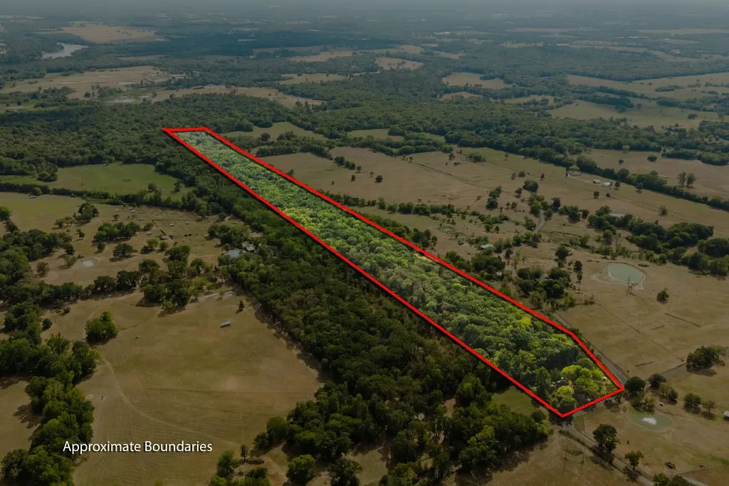 Unimproved Land For Sale in Franklin (TX) County , 949 SW County Road 3250, Winnsboro, Texas 75494, 0, 0, Garage spaces, 0 Sqft, built in 0, mls#21395277, Real Estate Agent in Winnsboro, Homes For Sale in Franklin (TX) county, Homes For Sale in Winnsboro, Realtor in Winnsboro Texas, Real Estate Brokerage Independent Realty Texas, Luminita Cordes Realtor