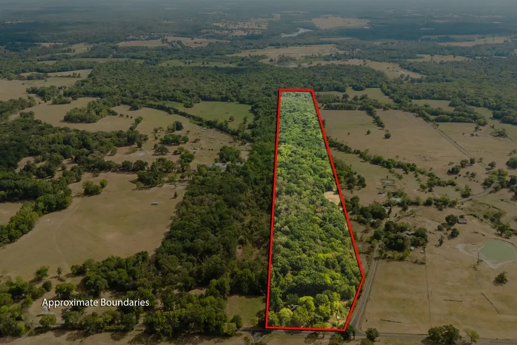 Unimproved Land For Sale in Franklin (TX) County , 949 SW County Road 3250, Winnsboro, Texas 75494, 0, 0, Garage spaces, 0 Sqft, built in 0, mls#21395277, Real Estate Agent in Winnsboro, Homes For Sale in Franklin (TX) county, Homes For Sale in Winnsboro, Realtor in Winnsboro Texas, Real Estate Brokerage Independent Realty Texas, Luminita Cordes Realtor