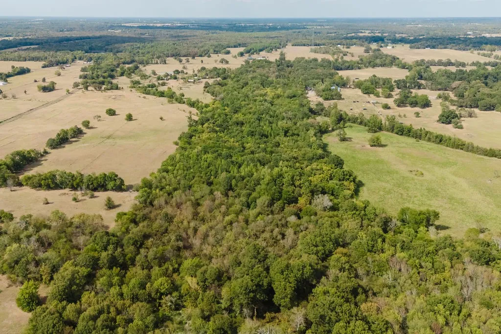 Unimproved Land For Sale in Franklin (TX) County , 949 SW County Road 3250, Winnsboro, Texas 75494, 0, 0, Garage spaces, 0 Sqft, built in 0, mls#21395277, Real Estate Agent in Winnsboro, Homes For Sale in Franklin (TX) county, Homes For Sale in Winnsboro, Realtor in Winnsboro Texas, Real Estate Brokerage Independent Realty Texas, Luminita Cordes Realtor