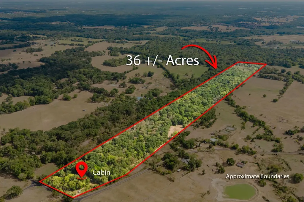 Unimproved Land For Sale in Franklin (TX) County , 949 SW County Road 3250, Winnsboro, Texas 75494, 0, 0, Garage spaces, 0 Sqft, built in 0, mls#21395277, Real Estate Agent in Winnsboro, Homes For Sale in Franklin (TX) county, Homes For Sale in Winnsboro, Realtor in Winnsboro Texas, Real Estate Brokerage Independent Realty Texas, Luminita Cordes Realtor