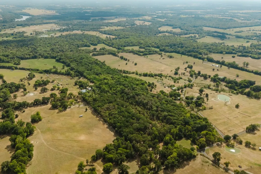 Unimproved Land For Sale in Franklin (TX) County , 949 SW County Road 3250, Winnsboro, Texas 75494, 0, 0, Garage spaces, 0 Sqft, built in 0, mls#21395277, Real Estate Agent in Winnsboro, Homes For Sale in Franklin (TX) county, Homes For Sale in Winnsboro, Realtor in Winnsboro Texas, Real Estate Brokerage Independent Realty Texas, Luminita Cordes Realtor