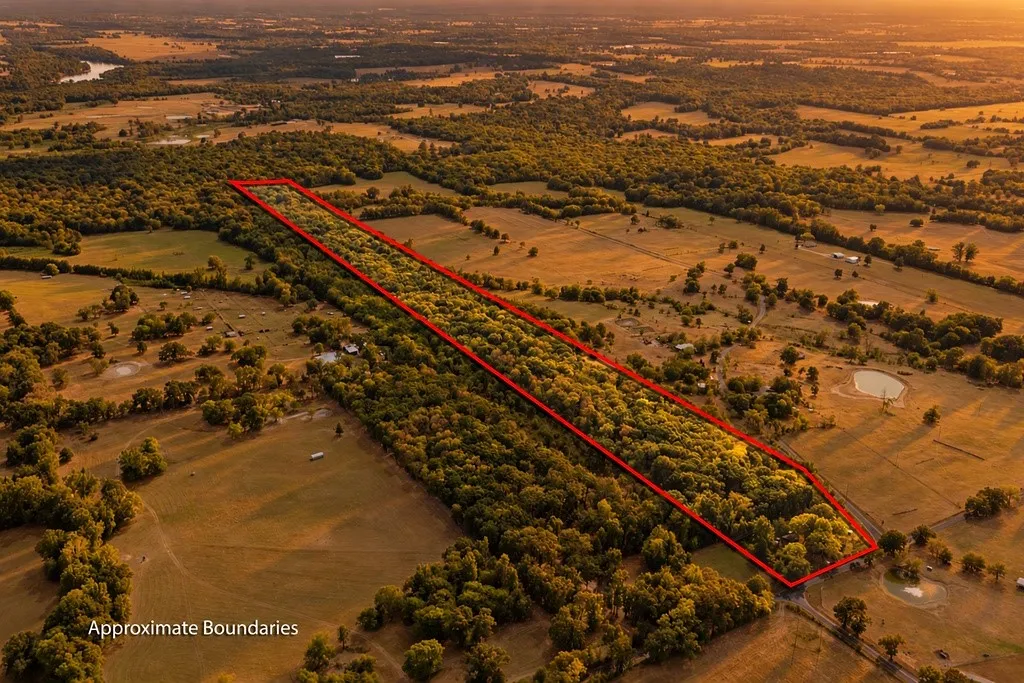 Unimproved Land For Sale in Franklin (TX) County , 949 SW County Road 3250, Winnsboro, Texas 75494, 0, 0, Garage spaces, 0 Sqft, built in 0, mls#21395277, Real Estate Agent in Winnsboro, Homes For Sale in Franklin (TX) county, Homes For Sale in Winnsboro, Realtor in Winnsboro Texas, Real Estate Brokerage Independent Realty Texas, Luminita Cordes Realtor