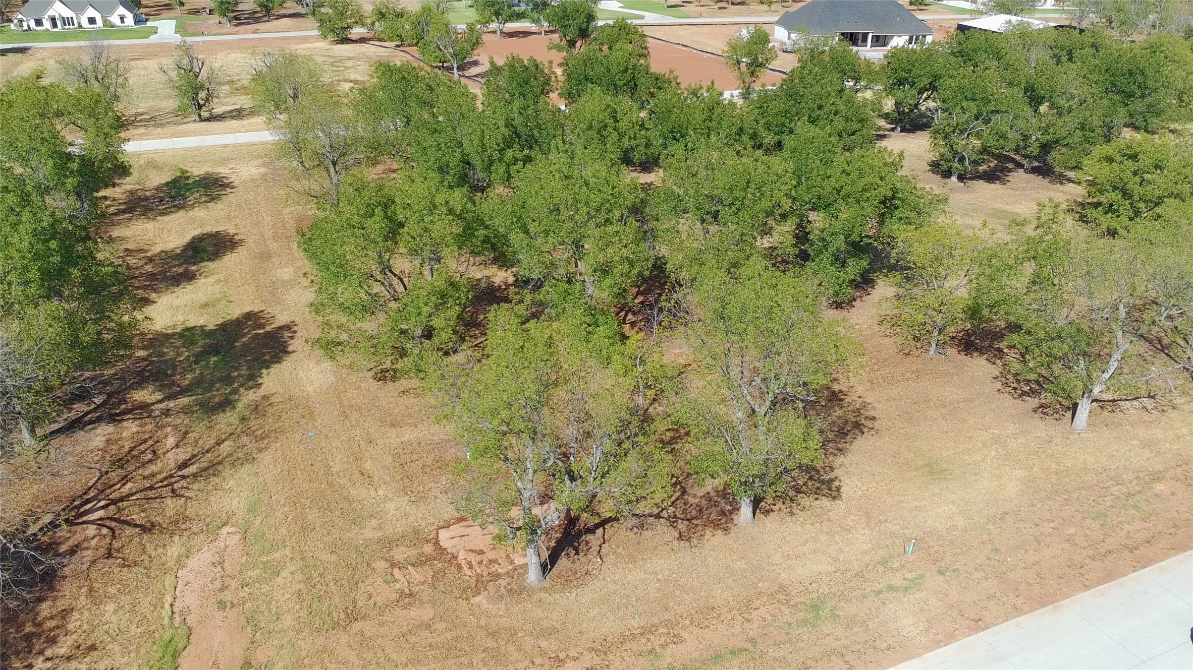 Improved Land For Sale in Hood County , 1430 Cirrus Loop, Granbury, Texas 76049, 0, 0, Garage spaces, 0 Sqft, built in 0, mls#21395298, Real Estate Agent in Granbury, Homes For Sale in Hood county, Homes For Sale in Granbury, Realtor in Granbury Texas, Real Estate Brokerage Independent Realty Texas, Luminita Cordes Realtor