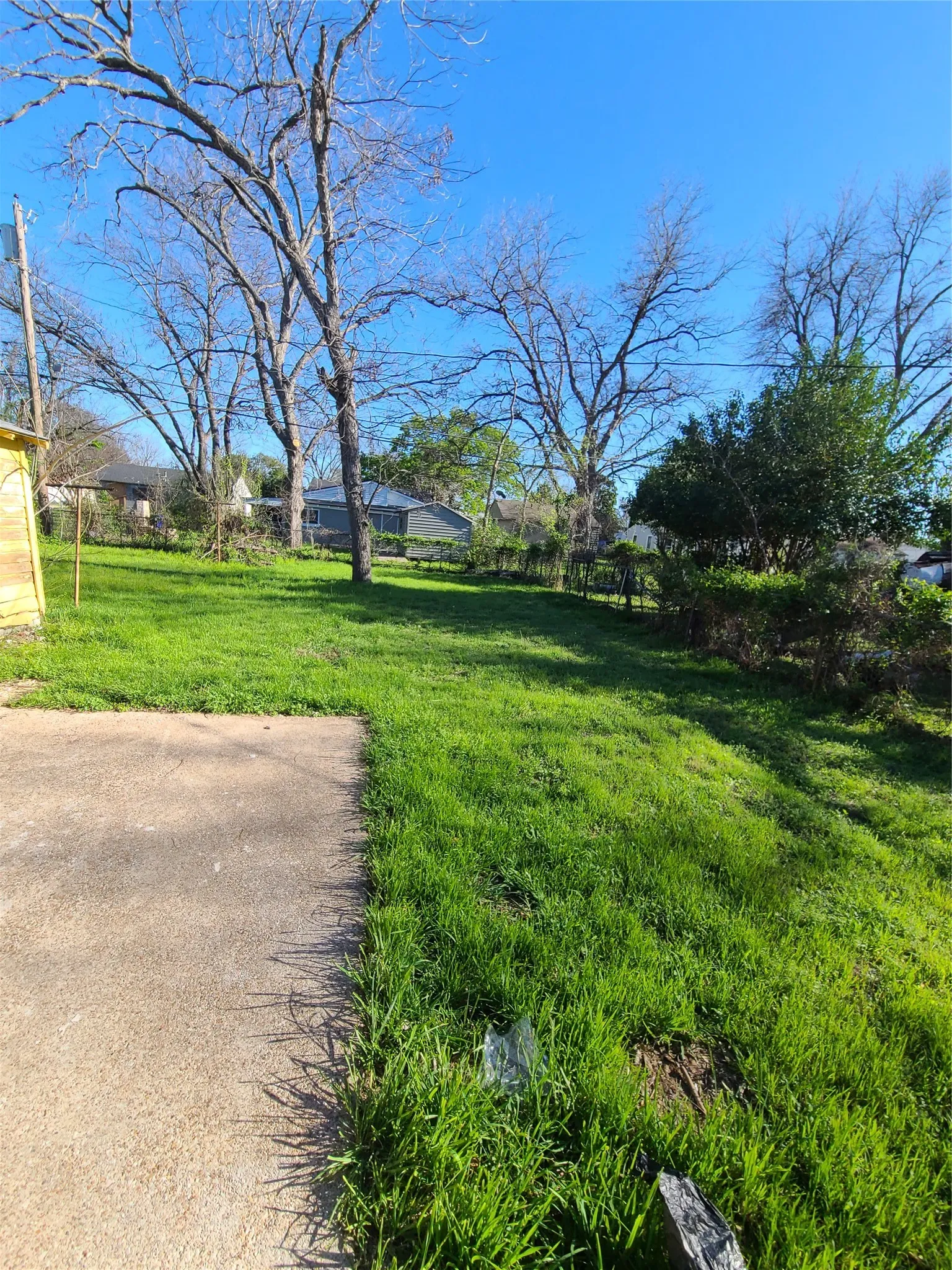 Plenty of green backyard space!