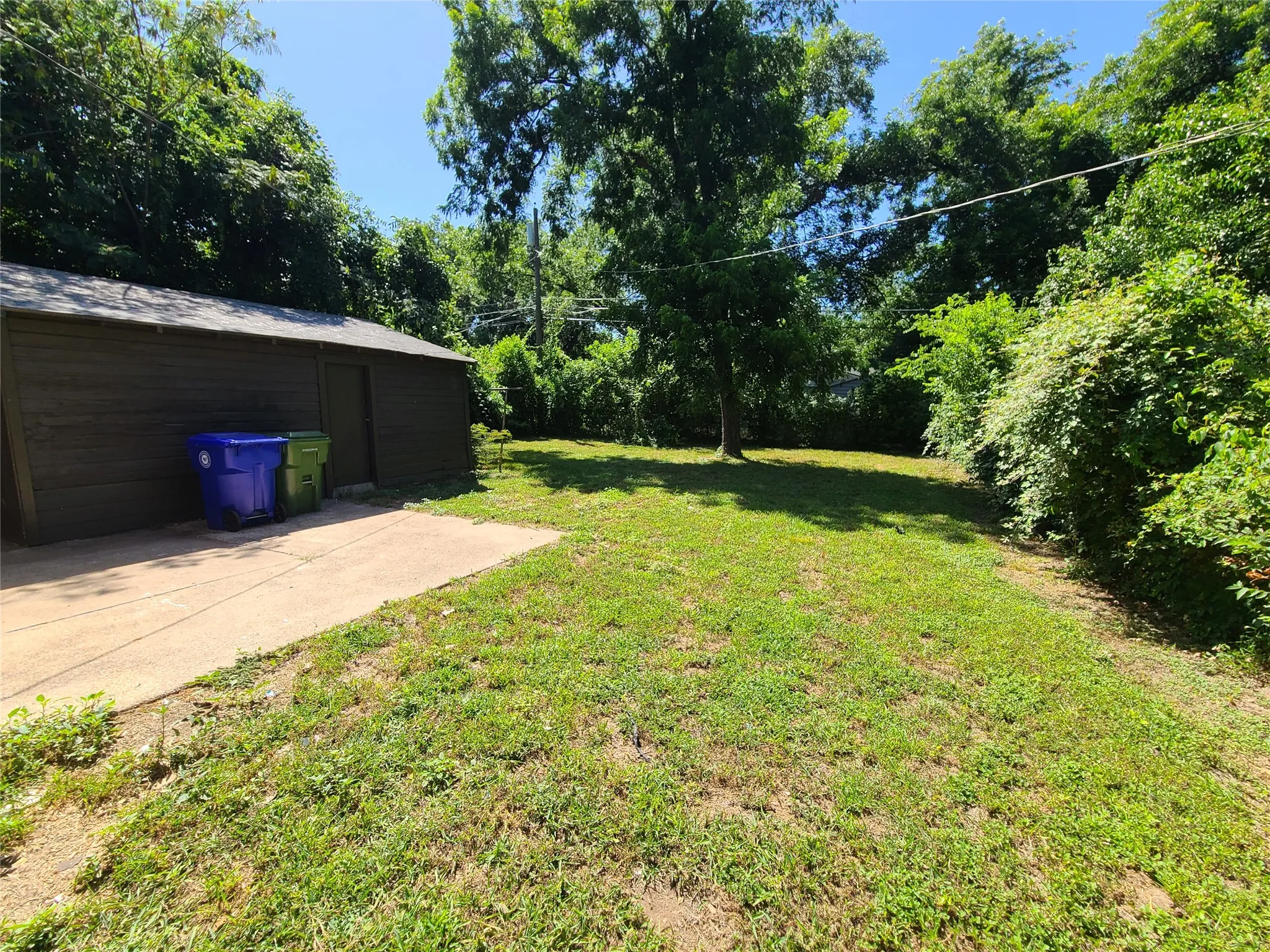 Expansive grassy yard area with mature trees and established perimeter shrubbery