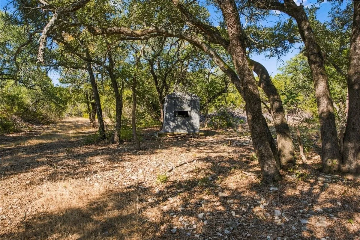 Unimproved Land For Sale in Bosque County , TBD FM 217 Highway, Valley Mills, Texas 76689, 0, 0, Garage spaces, 0 Sqft, built in 0, mls#21389674, Real Estate Agent in Valley Mills, Homes For Sale in Bosque county, Homes For Sale in Valley Mills, Realtor in Valley Mills Texas, Real Estate Brokerage Independent Realty Texas, Luminita Cordes Realtor