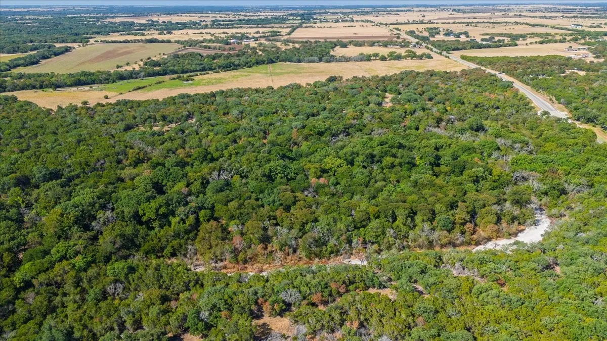 Unimproved Land For Sale in Bosque County , TBD FM 217 Highway, Valley Mills, Texas 76689, 0, 0, Garage spaces, 0 Sqft, built in 0, mls#21389674, Real Estate Agent in Valley Mills, Homes For Sale in Bosque county, Homes For Sale in Valley Mills, Realtor in Valley Mills Texas, Real Estate Brokerage Independent Realty Texas, Luminita Cordes Realtor