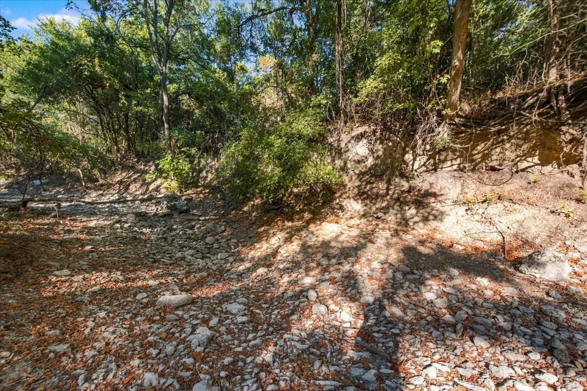 Unimproved Land For Sale in Bosque County , TBD FM 217 Highway, Valley Mills, Texas 76689, 0, 0, Garage spaces, 0 Sqft, built in 0, mls#21389674, Real Estate Agent in Valley Mills, Homes For Sale in Bosque county, Homes For Sale in Valley Mills, Realtor in Valley Mills Texas, Real Estate Brokerage Independent Realty Texas, Luminita Cordes Realtor