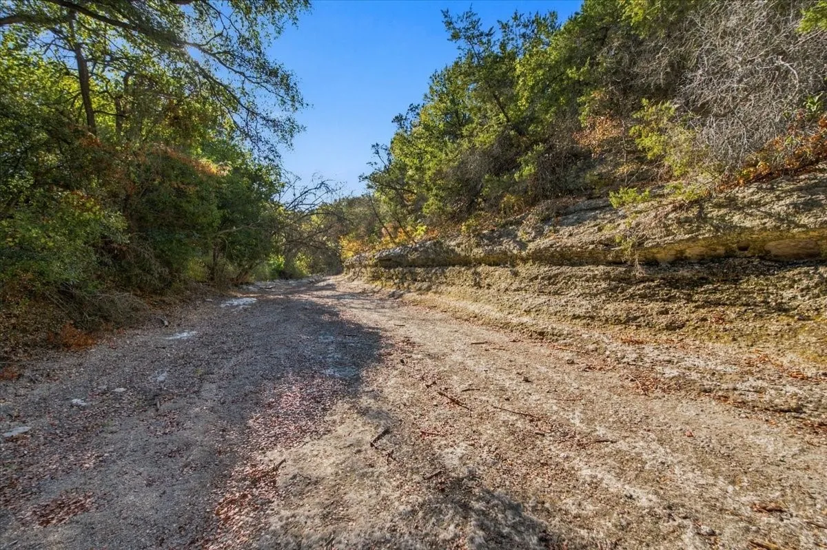Unimproved Land For Sale in Bosque County , TBD FM 217 Highway, Valley Mills, Texas 76689, 0, 0, Garage spaces, 0 Sqft, built in 0, mls#21389674, Real Estate Agent in Valley Mills, Homes For Sale in Bosque county, Homes For Sale in Valley Mills, Realtor in Valley Mills Texas, Real Estate Brokerage Independent Realty Texas, Luminita Cordes Realtor