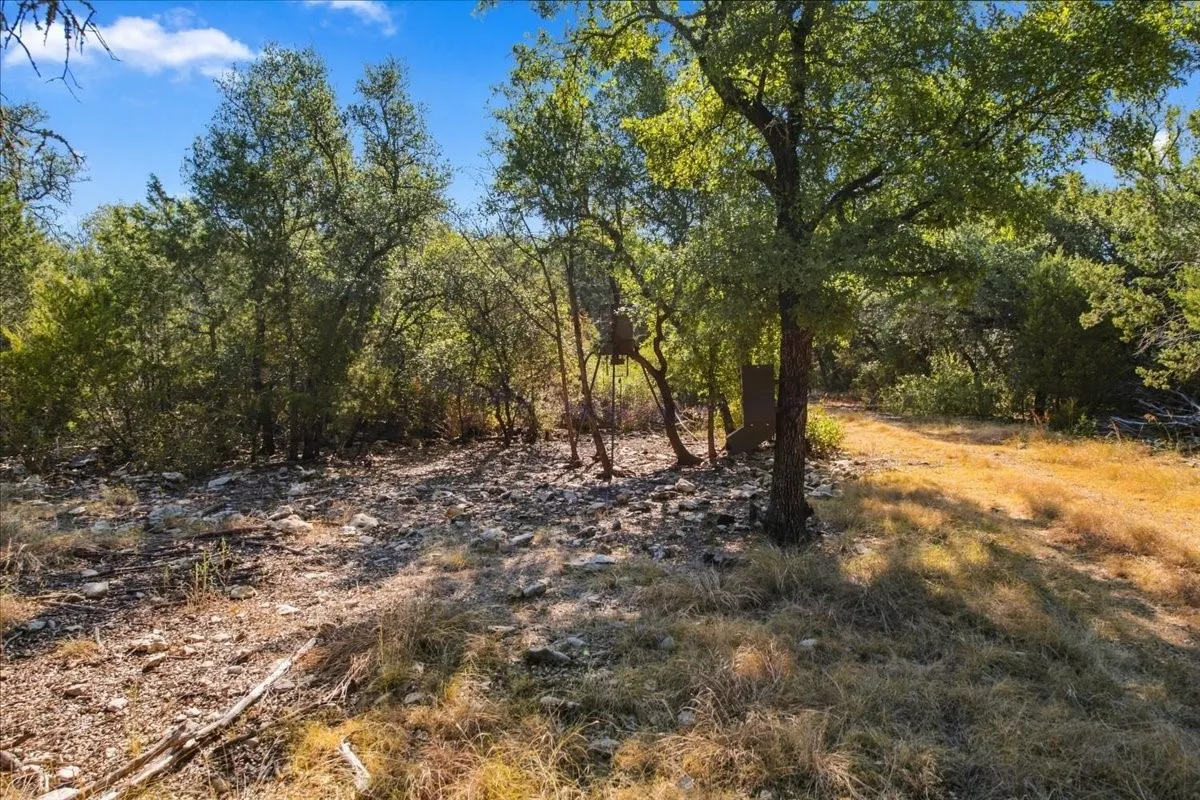 Unimproved Land For Sale in Bosque County , TBD FM 217 Highway, Valley Mills, Texas 76689, 0, 0, Garage spaces, 0 Sqft, built in 0, mls#21389674, Real Estate Agent in Valley Mills, Homes For Sale in Bosque county, Homes For Sale in Valley Mills, Realtor in Valley Mills Texas, Real Estate Brokerage Independent Realty Texas, Luminita Cordes Realtor