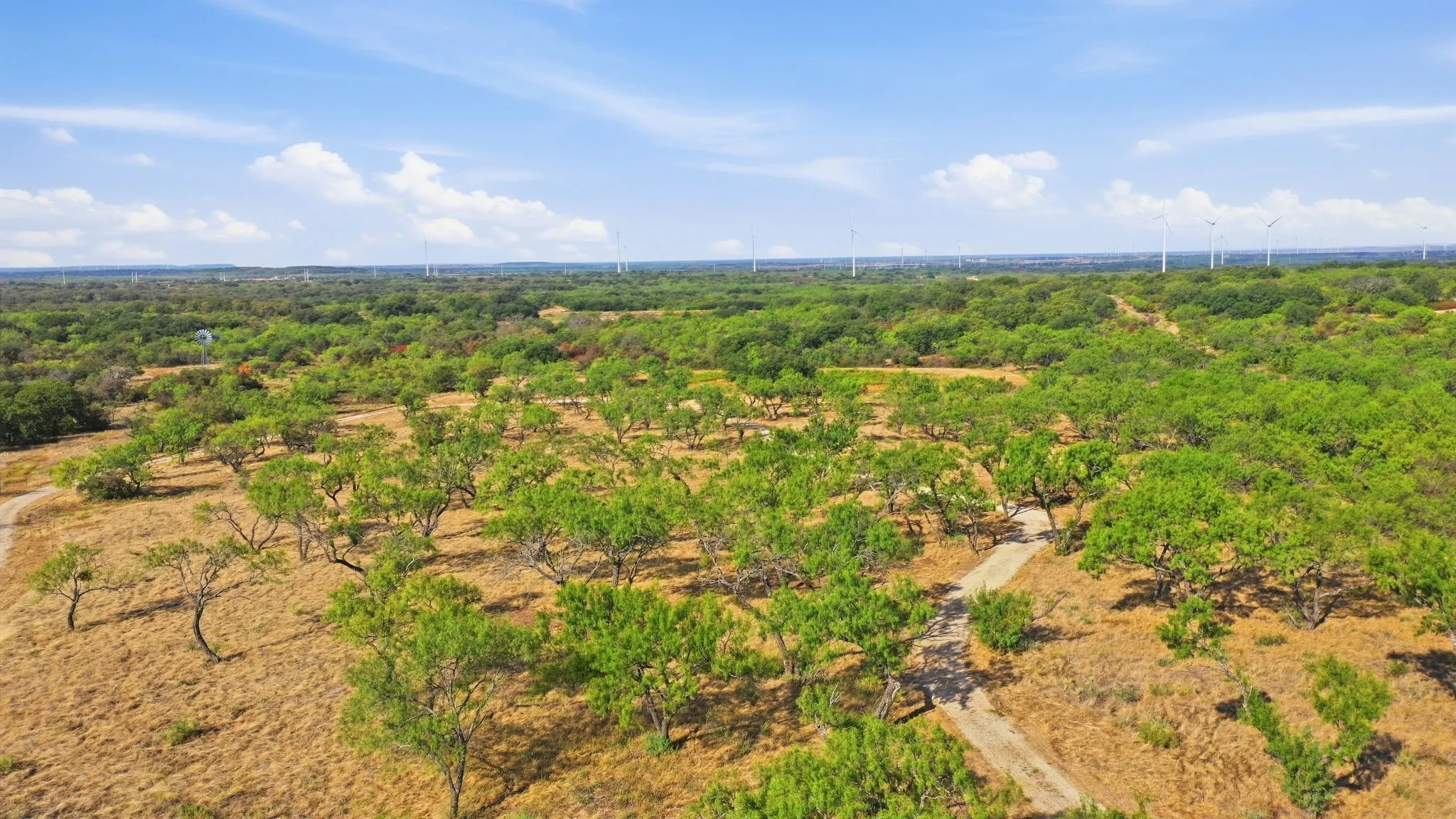 Ranch For Sale in Eastland County , 662 County Road 109, Cisco, Texas 76437, 0, 0, Garage spaces, 0 Sqft, built in 0, mls#21395299, Real Estate Agent in Cisco, Homes For Sale in Eastland county, Homes For Sale in Cisco, Realtor in Cisco Texas, Real Estate Brokerage Independent Realty Texas, Luminita Cordes Realtor