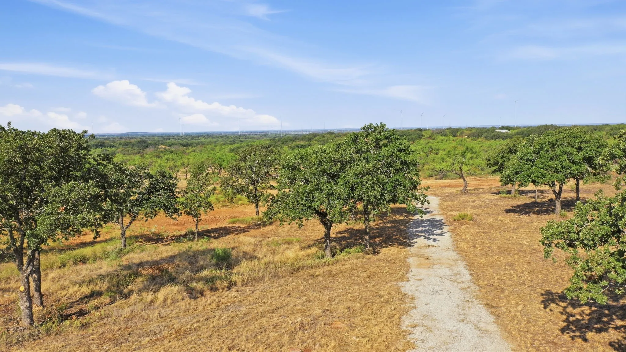 Ranch For Sale in Eastland County , 662 County Road 109, Cisco, Texas 76437, 0, 0, Garage spaces, 0 Sqft, built in 0, mls#21395299, Real Estate Agent in Cisco, Homes For Sale in Eastland county, Homes For Sale in Cisco, Realtor in Cisco Texas, Real Estate Brokerage Independent Realty Texas, Luminita Cordes Realtor