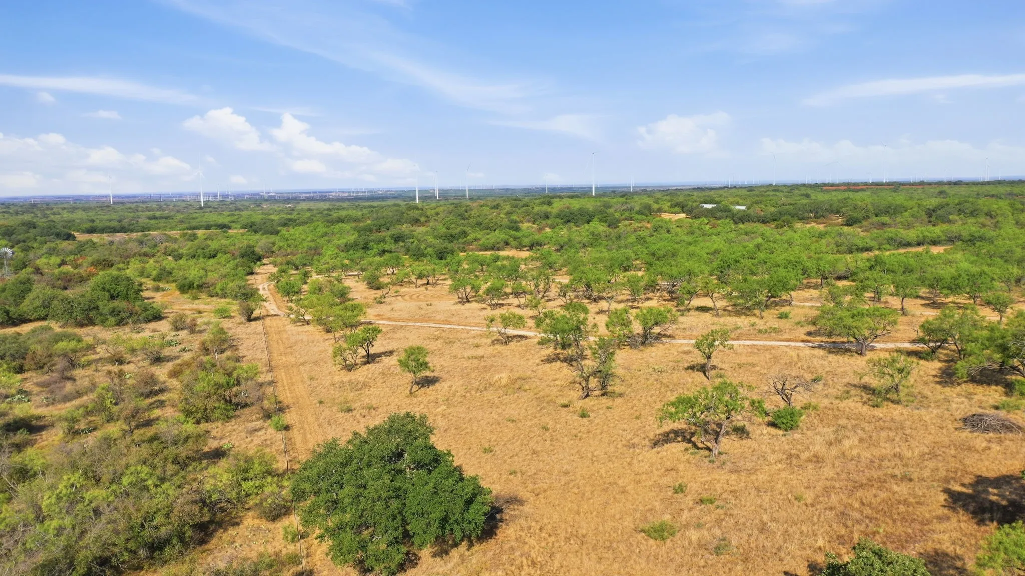 Ranch For Sale in Eastland County , 662 County Road 109, Cisco, Texas 76437, 0, 0, Garage spaces, 0 Sqft, built in 0, mls#21395299, Real Estate Agent in Cisco, Homes For Sale in Eastland county, Homes For Sale in Cisco, Realtor in Cisco Texas, Real Estate Brokerage Independent Realty Texas, Luminita Cordes Realtor