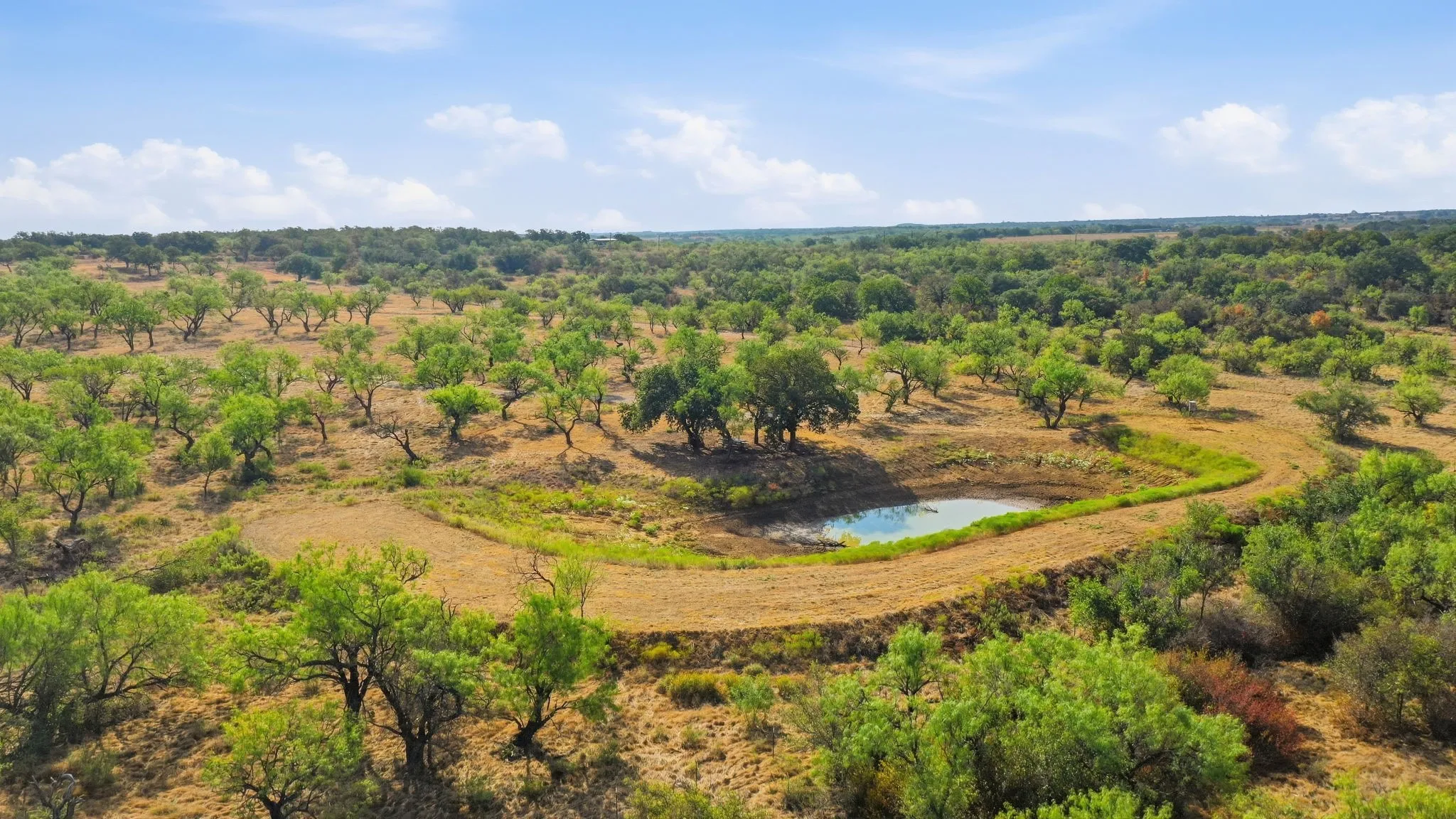 Ranch For Sale in Eastland County , 662 County Road 109, Cisco, Texas 76437, 0, 0, Garage spaces, 0 Sqft, built in 0, mls#21395299, Real Estate Agent in Cisco, Homes For Sale in Eastland county, Homes For Sale in Cisco, Realtor in Cisco Texas, Real Estate Brokerage Independent Realty Texas, Luminita Cordes Realtor