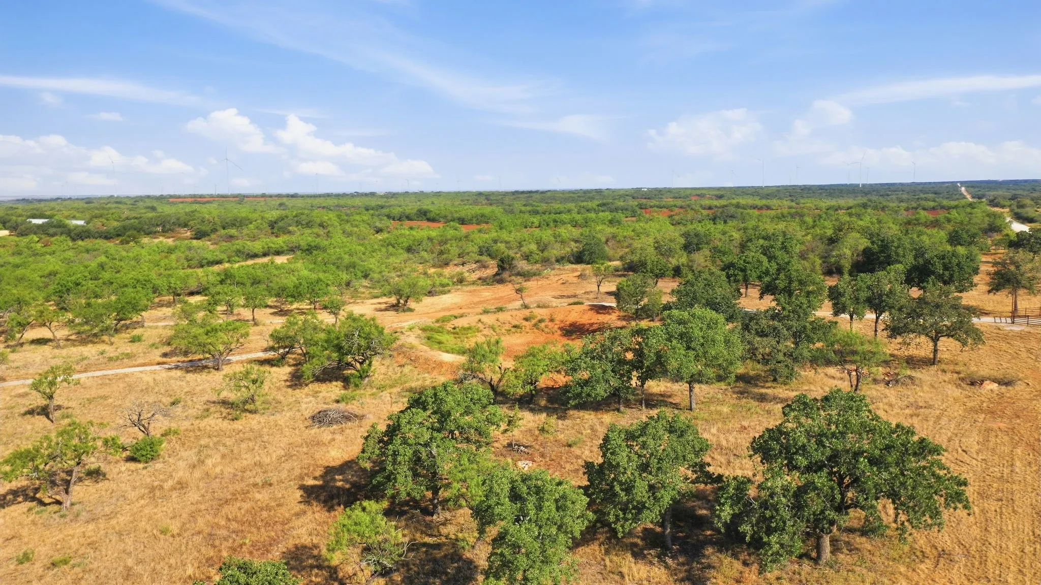 Ranch For Sale in Eastland County , 662 County Road 109, Cisco, Texas 76437, 0, 0, Garage spaces, 0 Sqft, built in 0, mls#21395299, Real Estate Agent in Cisco, Homes For Sale in Eastland county, Homes For Sale in Cisco, Realtor in Cisco Texas, Real Estate Brokerage Independent Realty Texas, Luminita Cordes Realtor