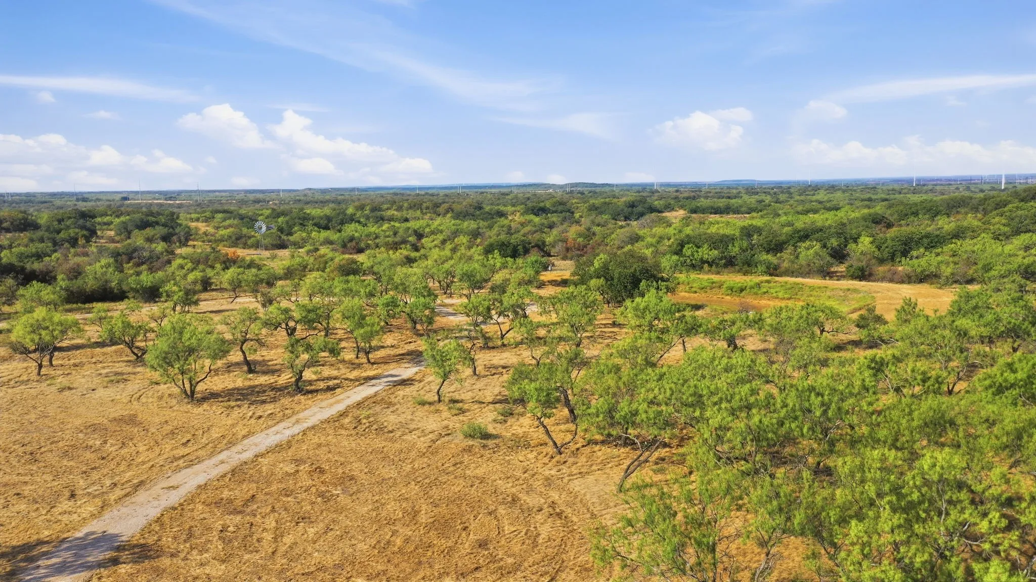 Ranch For Sale in Eastland County , 662 County Road 109, Cisco, Texas 76437, 0, 0, Garage spaces, 0 Sqft, built in 0, mls#21395299, Real Estate Agent in Cisco, Homes For Sale in Eastland county, Homes For Sale in Cisco, Realtor in Cisco Texas, Real Estate Brokerage Independent Realty Texas, Luminita Cordes Realtor