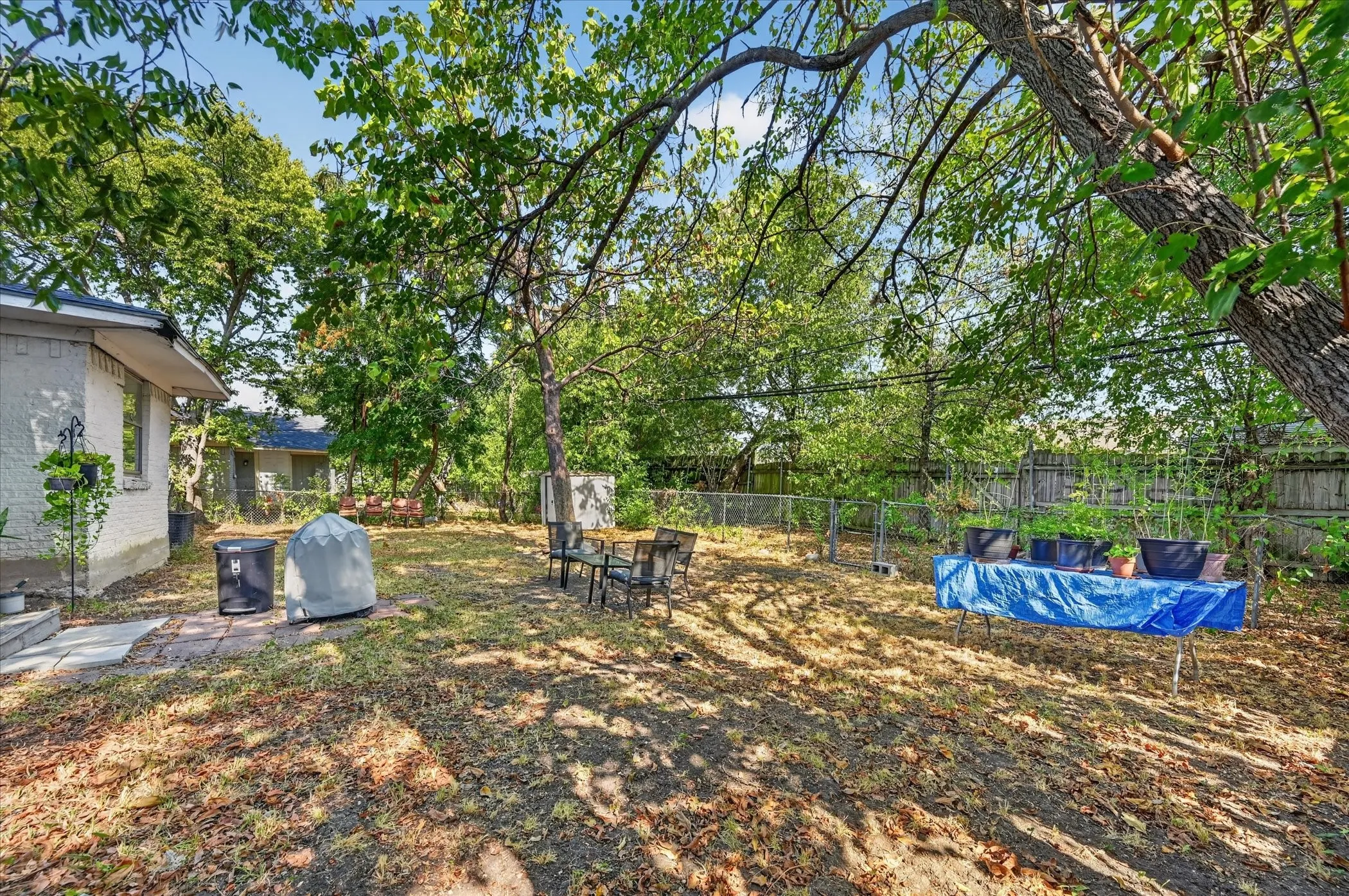 Expansive backyard featuring mature trees, a paved patio area, and a chain-link fence