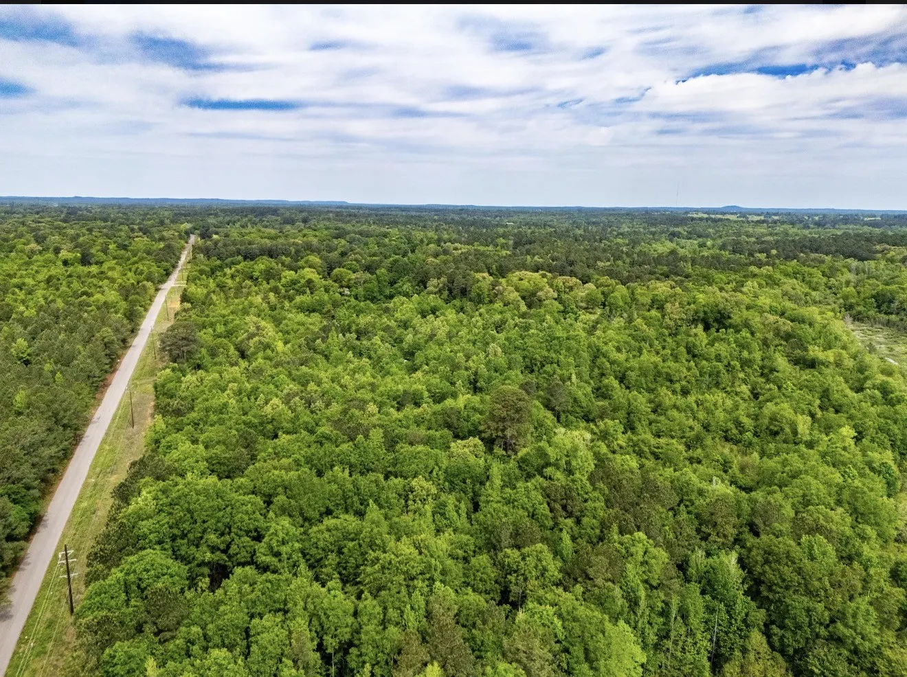 Unimproved Land For Sale in Upshur County , TBD white oak road, Big Sandy, Texas 78413, 0, 0, Garage spaces, 0 Sqft, built in 0, mls#21395371, Real Estate Agent in Big Sandy, Homes For Sale in Upshur county, Homes For Sale in Big Sandy, Realtor in Big Sandy Texas, Real Estate Brokerage Independent Realty Texas, Luminita Cordes Realtor