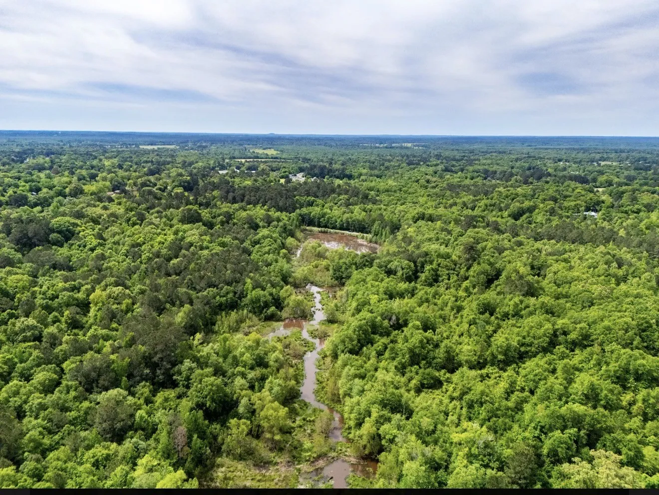 Unimproved Land For Sale in Upshur County , TBD white oak road, Big Sandy, Texas 78413, 0, 0, Garage spaces, 0 Sqft, built in 0, mls#21395371, Real Estate Agent in Big Sandy, Homes For Sale in Upshur county, Homes For Sale in Big Sandy, Realtor in Big Sandy Texas, Real Estate Brokerage Independent Realty Texas, Luminita Cordes Realtor