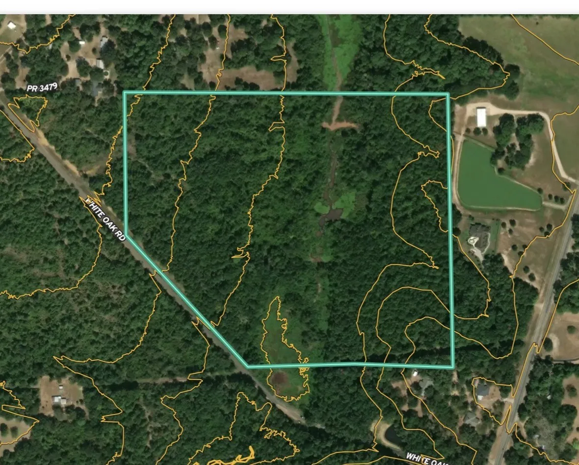 Unimproved Land For Sale in Upshur County , TBD white oak road, Big Sandy, Texas 78413, 0, 0, Garage spaces, 0 Sqft, built in 0, mls#21395371, Real Estate Agent in Big Sandy, Homes For Sale in Upshur county, Homes For Sale in Big Sandy, Realtor in Big Sandy Texas, Real Estate Brokerage Independent Realty Texas, Luminita Cordes Realtor