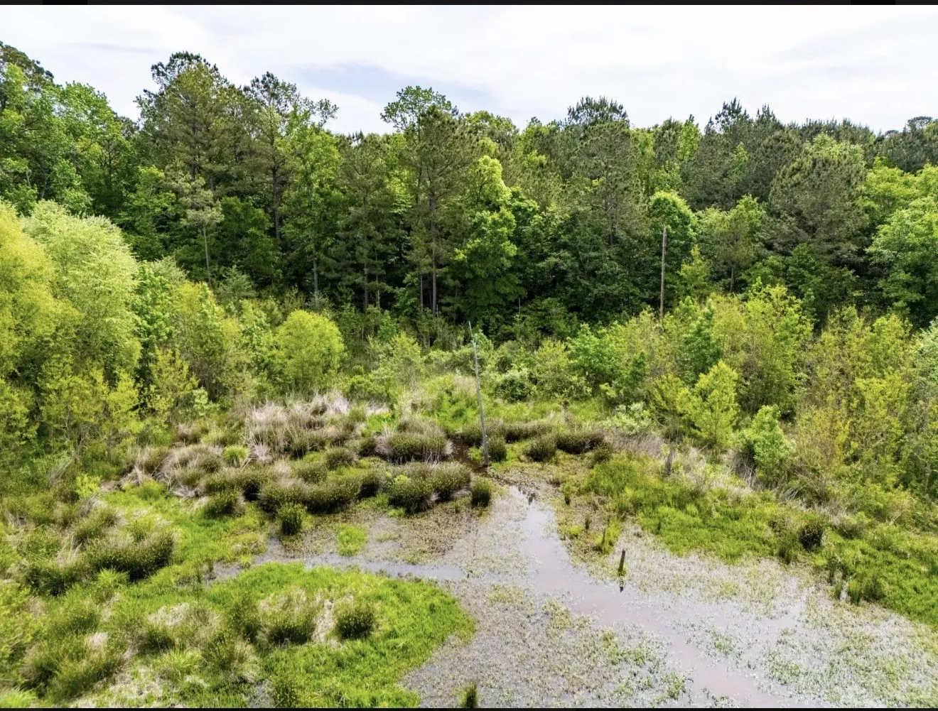 Unimproved Land For Sale in Upshur County , TBD white oak road, Big Sandy, Texas 78413, 0, 0, Garage spaces, 0 Sqft, built in 0, mls#21395371, Real Estate Agent in Big Sandy, Homes For Sale in Upshur county, Homes For Sale in Big Sandy, Realtor in Big Sandy Texas, Real Estate Brokerage Independent Realty Texas, Luminita Cordes Realtor