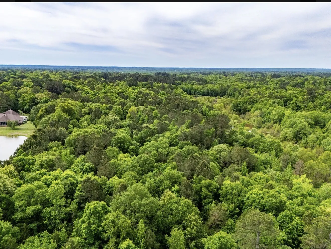 Unimproved Land For Sale in Upshur County , TBD white oak road, Big Sandy, Texas 78413, 0, 0, Garage spaces, 0 Sqft, built in 0, mls#21395371, Real Estate Agent in Big Sandy, Homes For Sale in Upshur county, Homes For Sale in Big Sandy, Realtor in Big Sandy Texas, Real Estate Brokerage Independent Realty Texas, Luminita Cordes Realtor