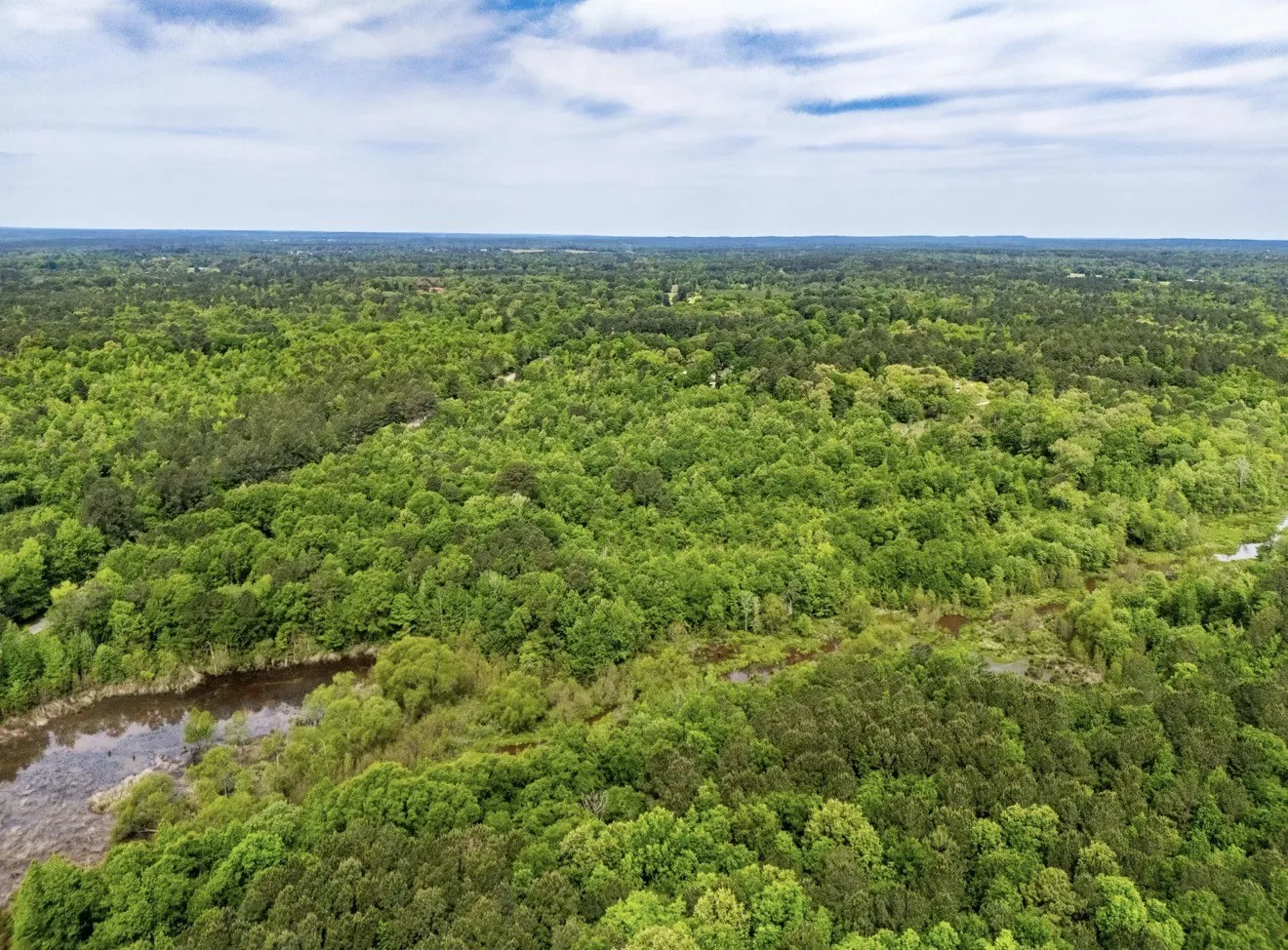 Unimproved Land For Sale in Upshur County , TBD white oak road, Big Sandy, Texas 78413, 0, 0, Garage spaces, 0 Sqft, built in 0, mls#21395371, Real Estate Agent in Big Sandy, Homes For Sale in Upshur county, Homes For Sale in Big Sandy, Realtor in Big Sandy Texas, Real Estate Brokerage Independent Realty Texas, Luminita Cordes Realtor