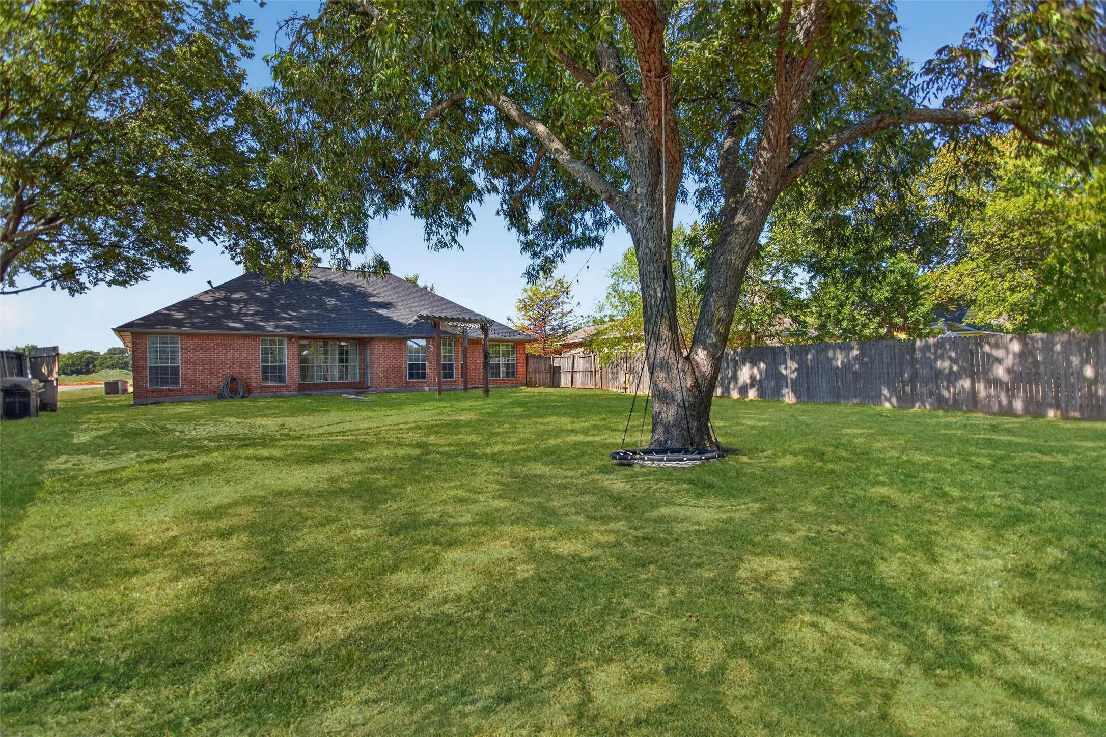 Huge pecan tree in backyard