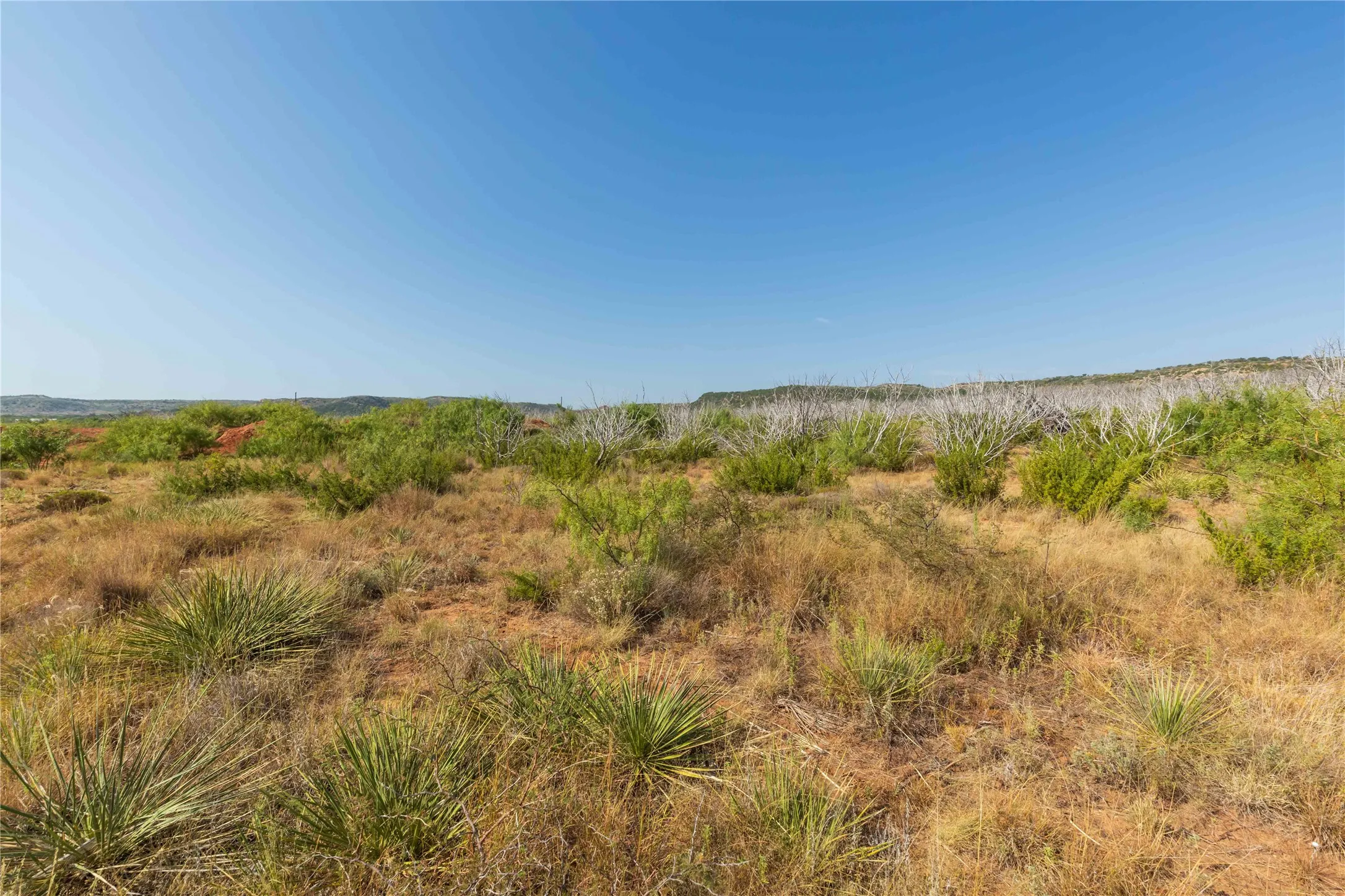 Unimproved Land For Sale in Taylor County , 1034 Braune Road, Abilene, Texas 79603, 0, 0, Garage spaces, 0 Sqft, built in 0, mls#21395399, Real Estate Agent in Abilene, Homes For Sale in Taylor county, Homes For Sale in Abilene, Realtor in Abilene Texas, Real Estate Brokerage Independent Realty Texas, Luminita Cordes Realtor