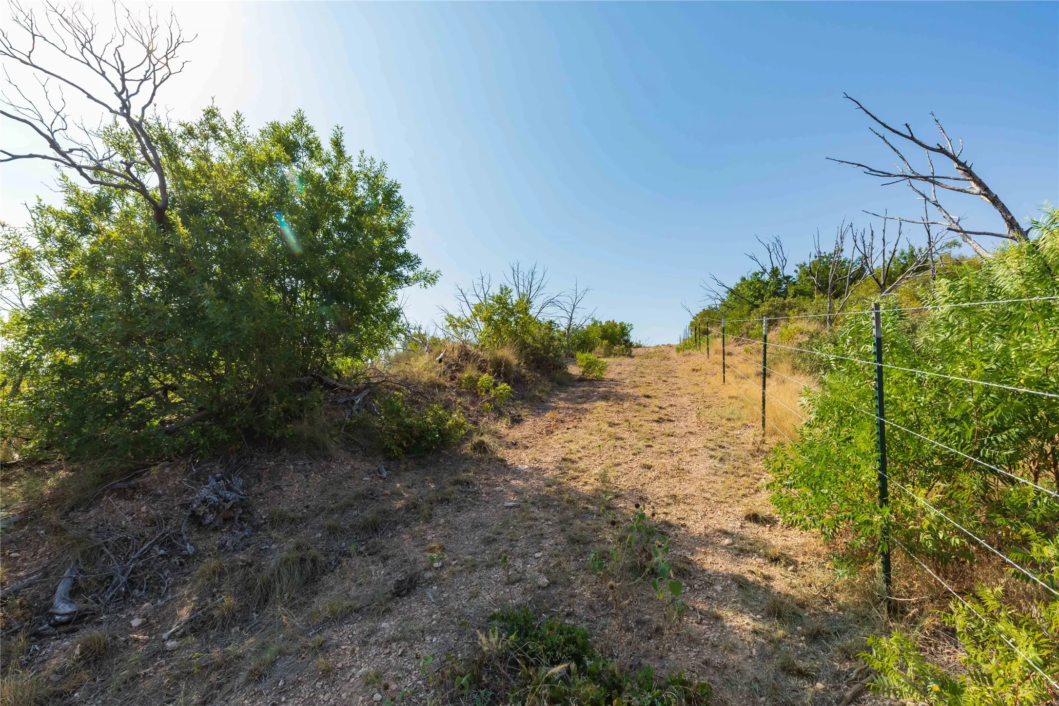 Unimproved Land For Sale in Taylor County , 1034 Braune Road, Abilene, Texas 79603, 0, 0, Garage spaces, 0 Sqft, built in 0, mls#21395399, Real Estate Agent in Abilene, Homes For Sale in Taylor county, Homes For Sale in Abilene, Realtor in Abilene Texas, Real Estate Brokerage Independent Realty Texas, Luminita Cordes Realtor